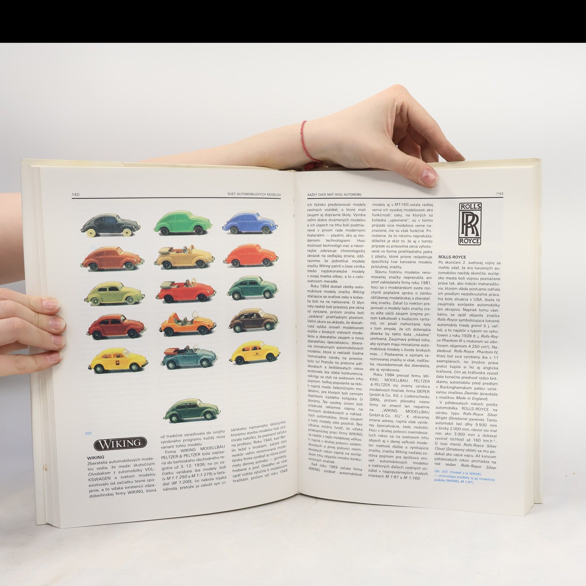 Štefan Štrauch Svet automobilových modelov