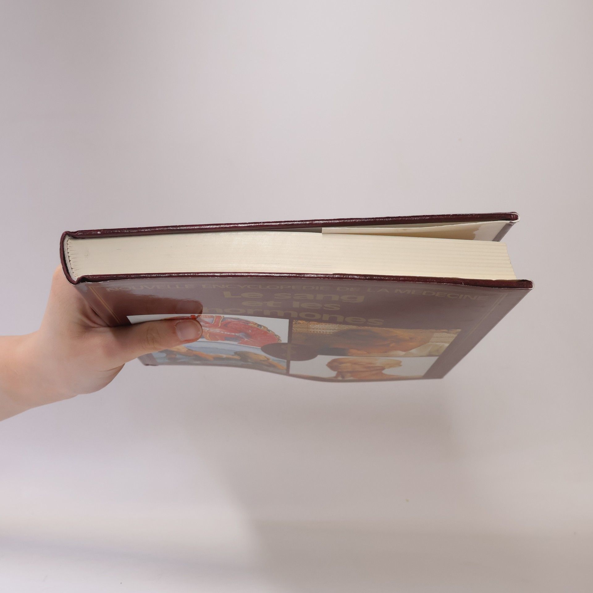 Nouvelle Encyclopédie de la Médecine: Le sang et les hormones