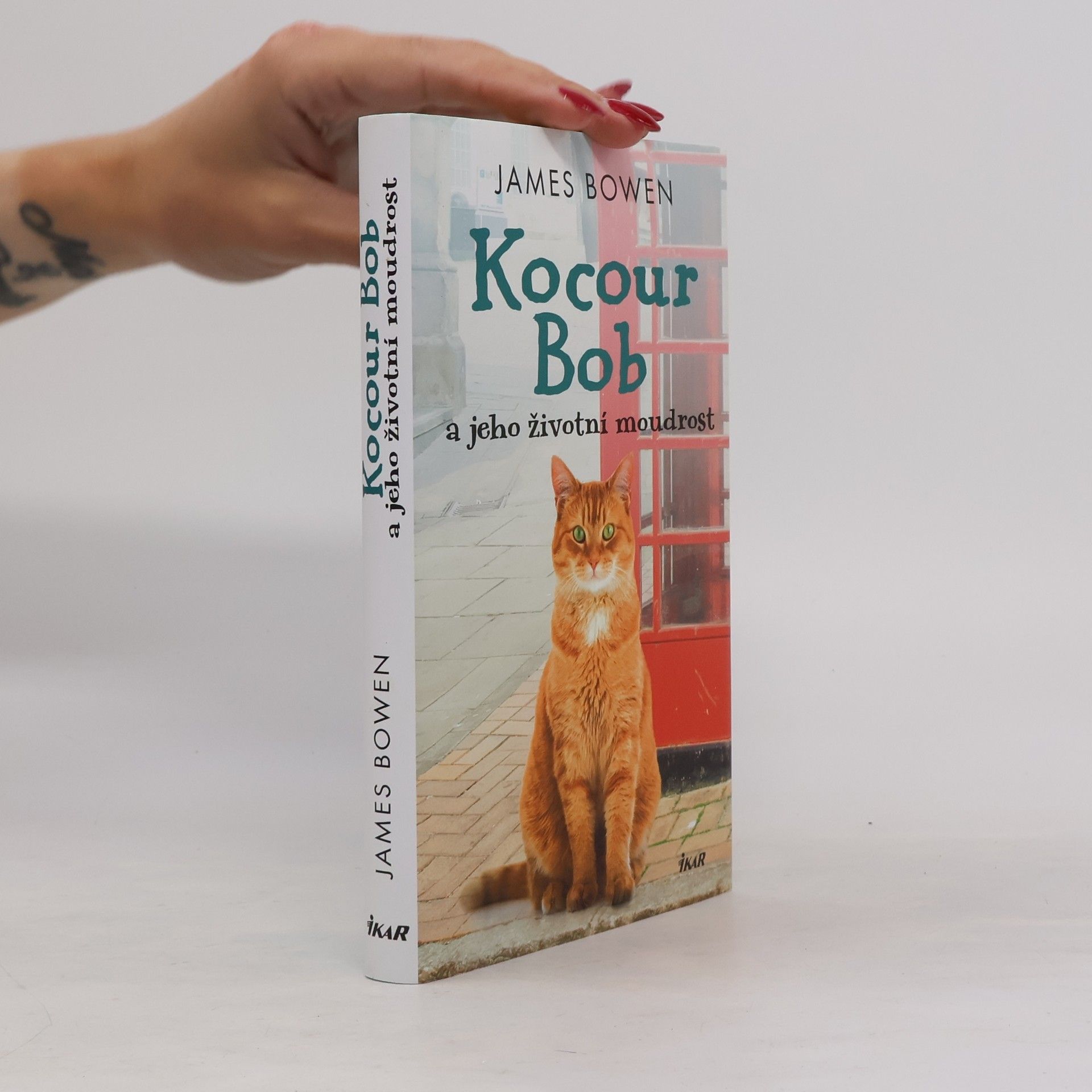 James Bowen Kocour Bob a jeho životní moudrost