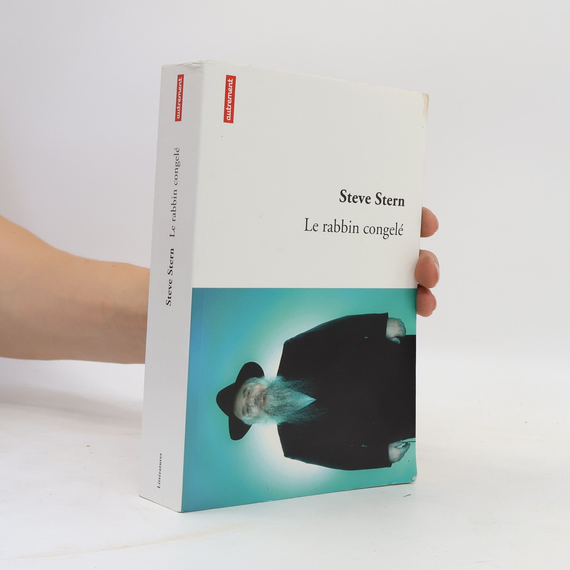 Steve Stern Le rabbin congelé