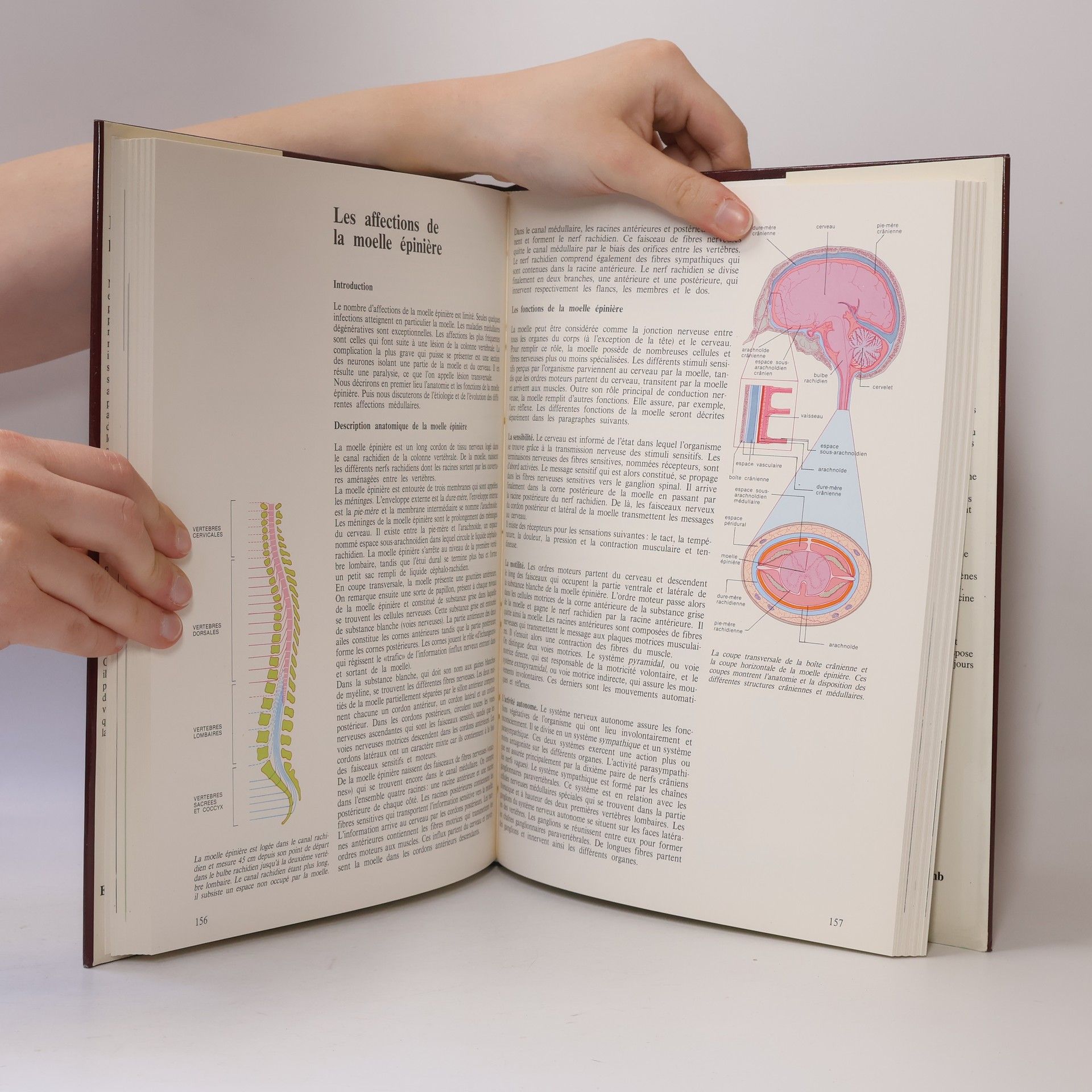 Nouvelle encyclopédie de la médecine: Les maladies, prévention et diagnostic