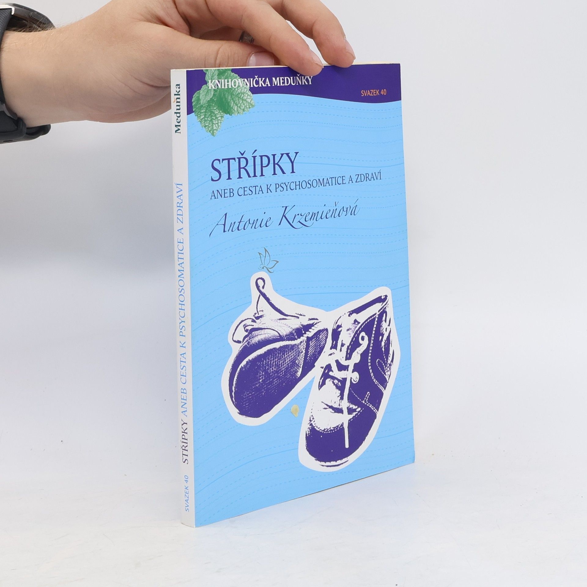 Antonie Krzemieňová Střípky aneb Cesta k psychosomatice a zdraví