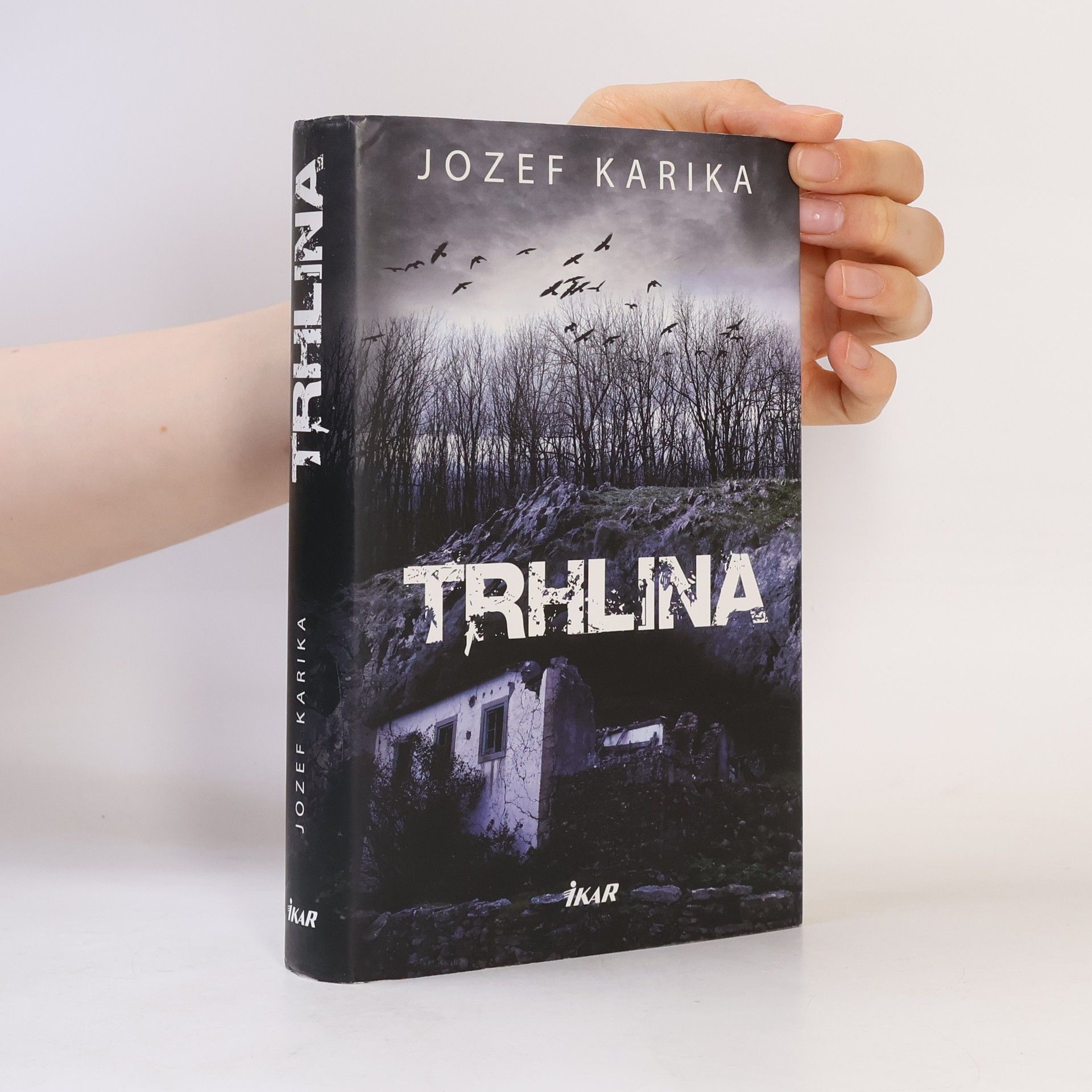 Jozef Karika Trhlina