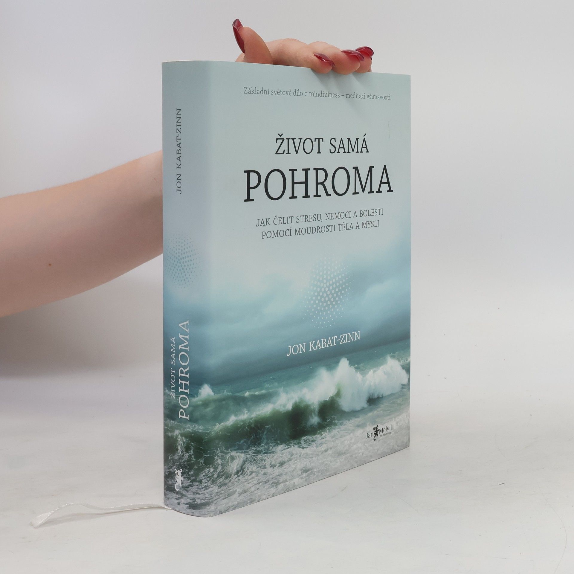 Jon Kabat Zinn Život samá pohroma