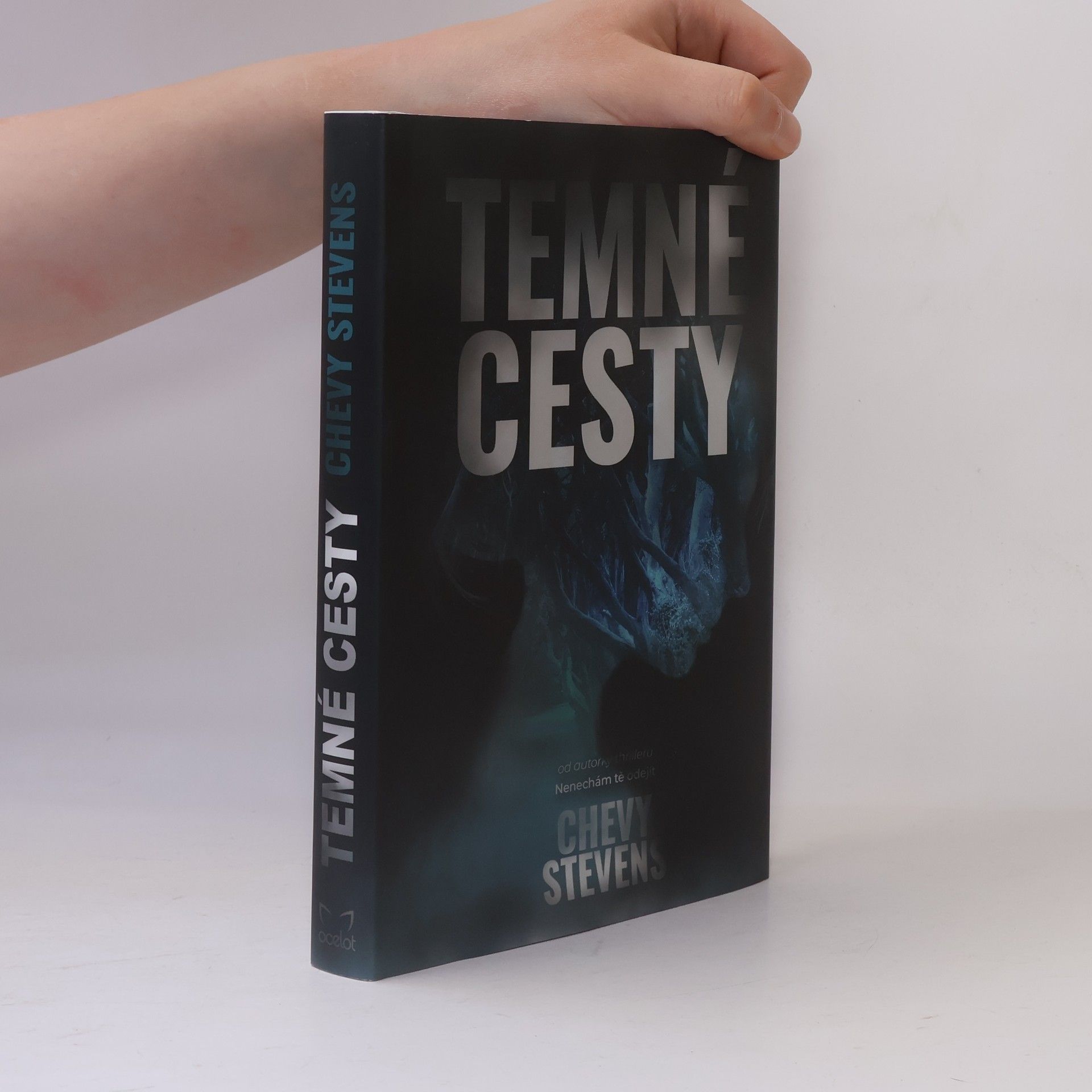 Chevy Stevens Temné cesty