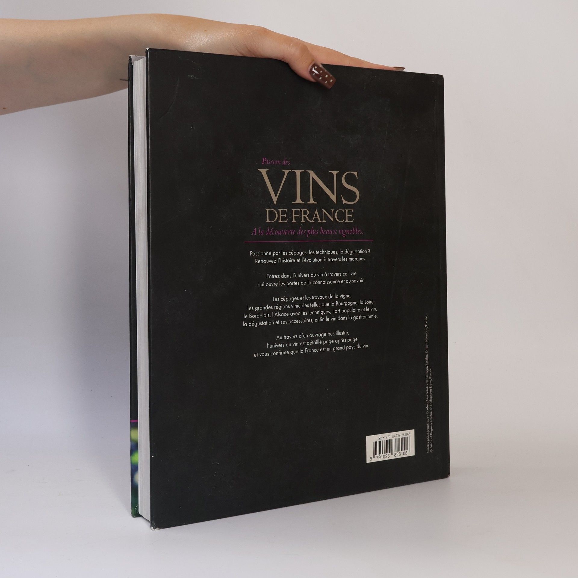 Passion des vins de France à la découverte des plus beaux vignobles