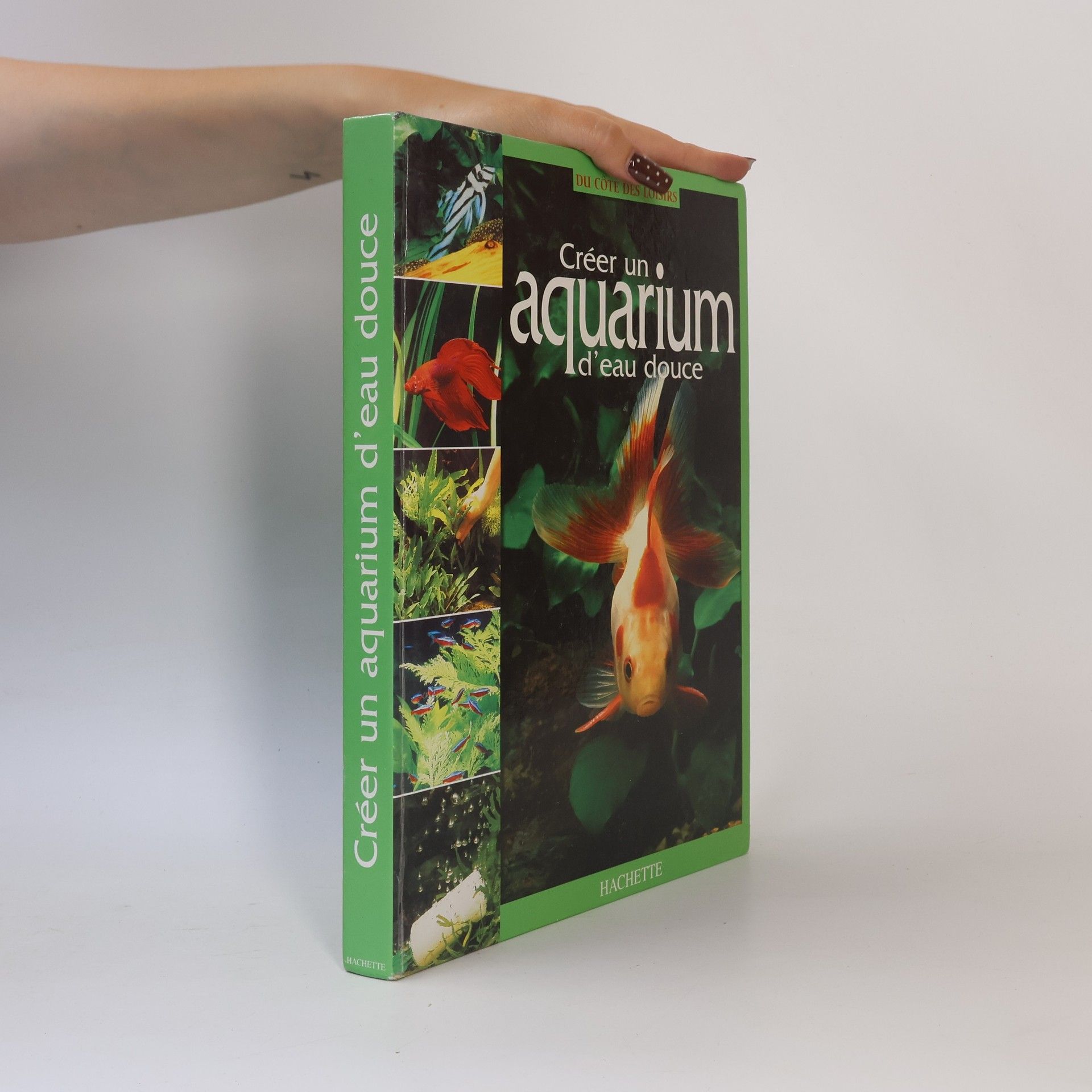 Kolektiv autorů Créer un aquarium d'eau douce