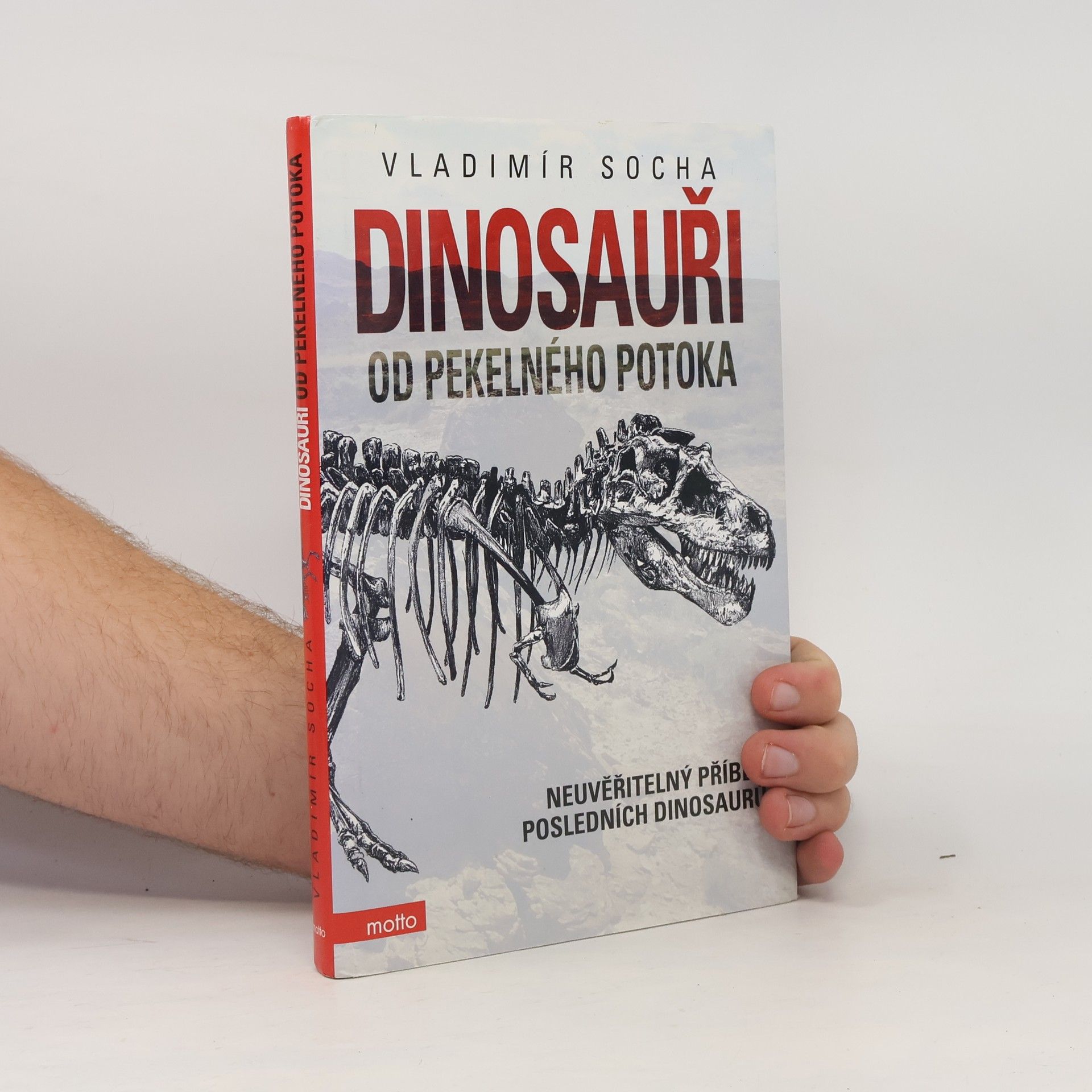 Vladimír Socha Dinosauři od Pekelného potoka