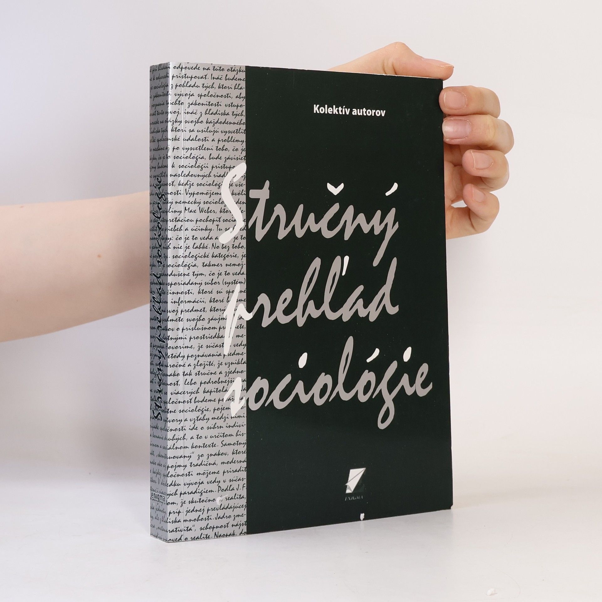 Autorenkollektiv Stručný prehľad sociológie