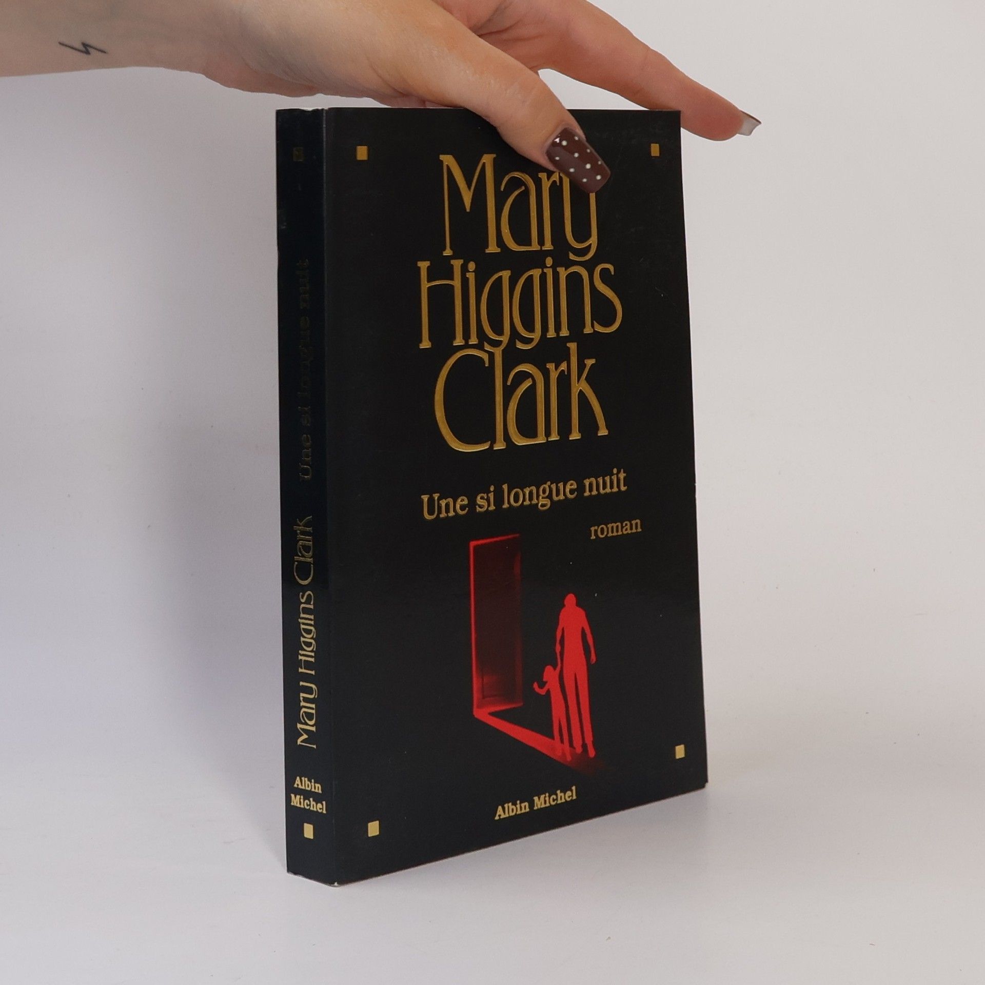 Mary Higginsová Clarková Une si longue nuit