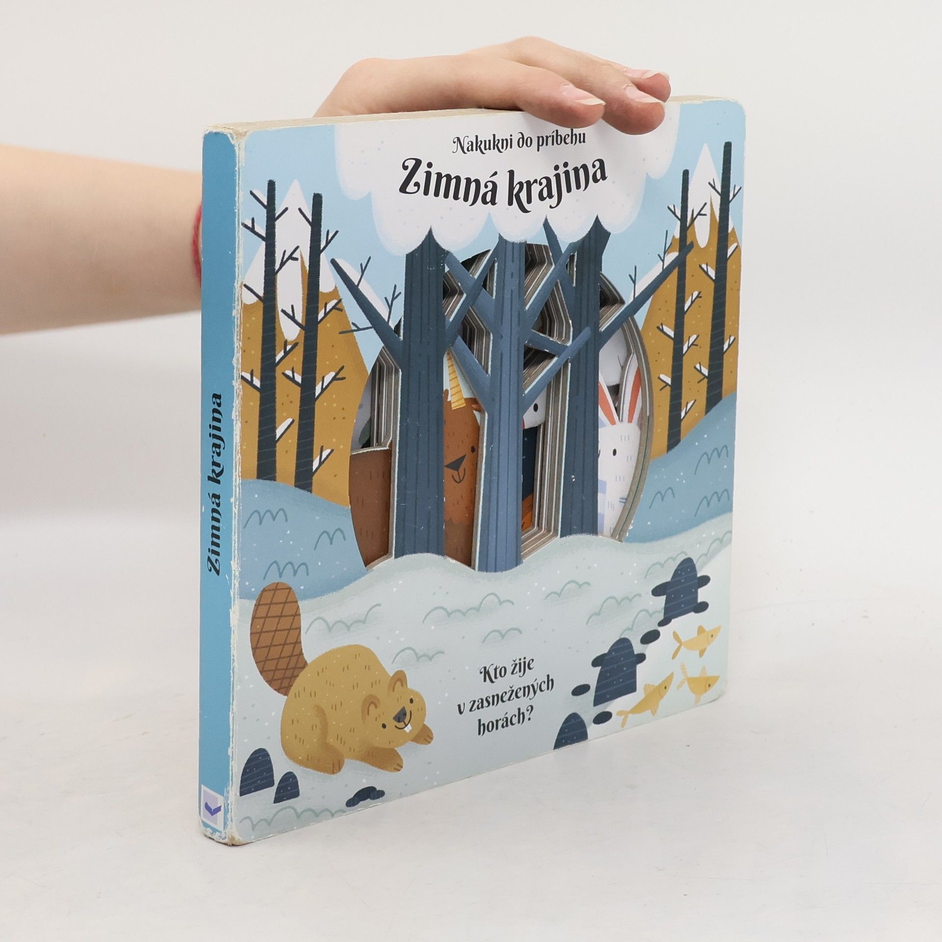 Auteurscollectief Zimná krajina