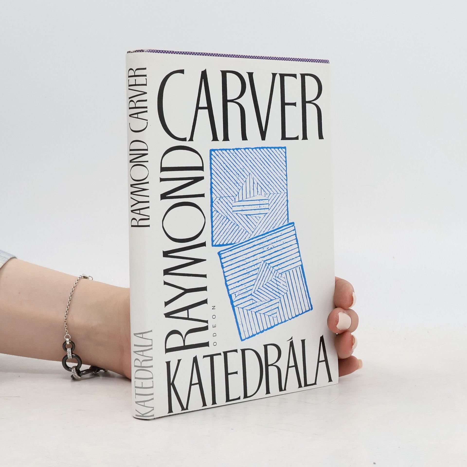Raymond Carver Katedrála (a jiné povídky)