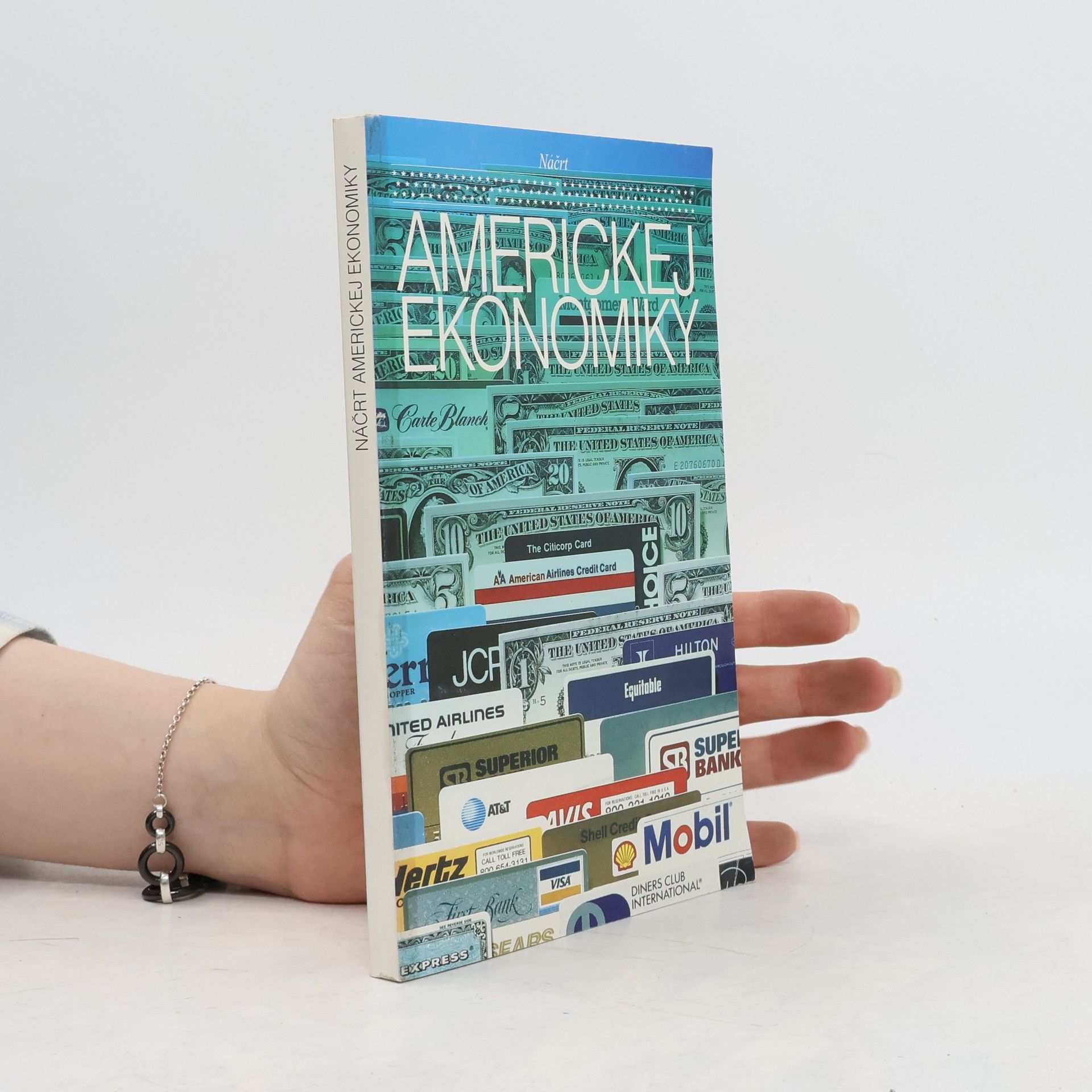 Autorenkollektiv Náčrt americkej ekonomiky