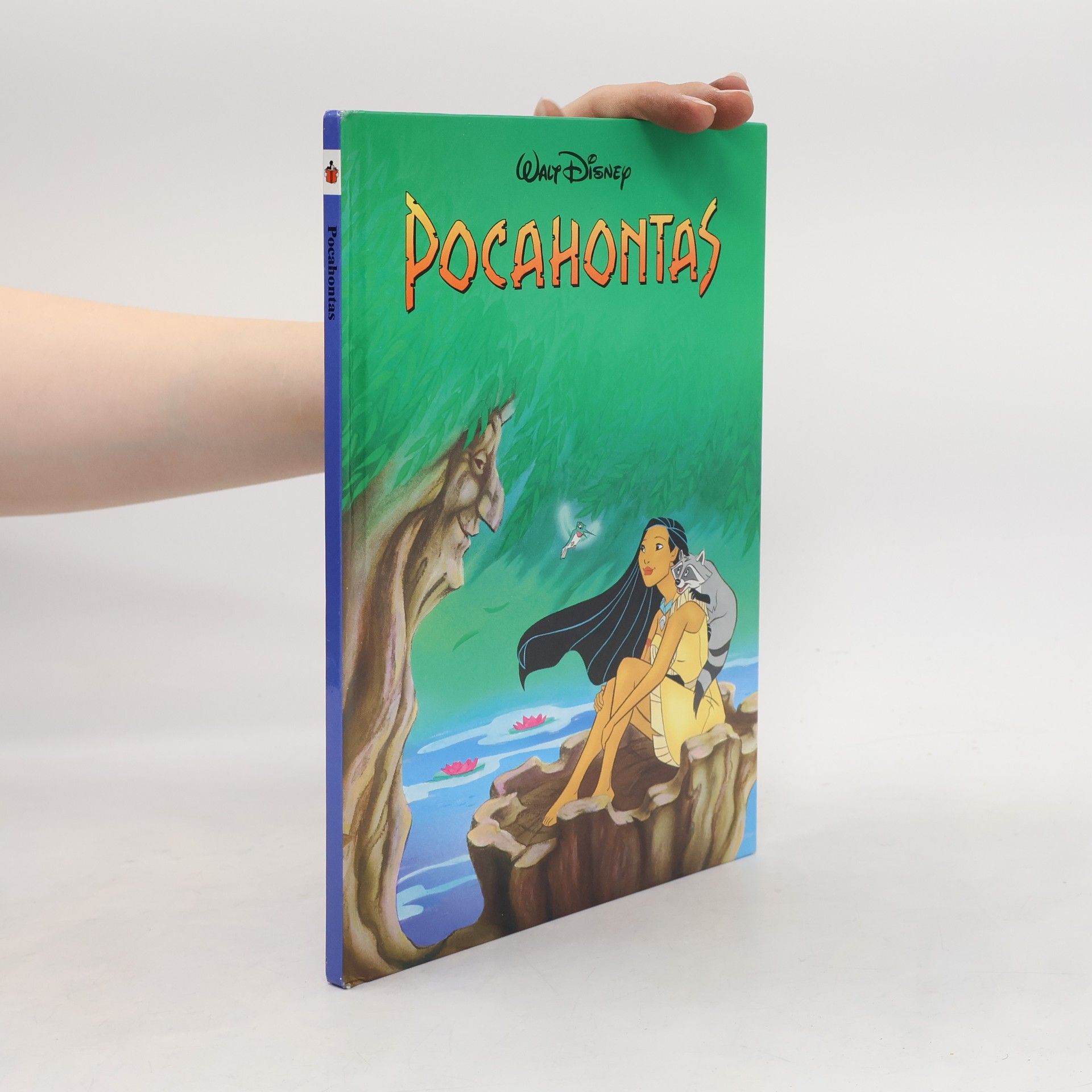 Walt Disney Pocahontas