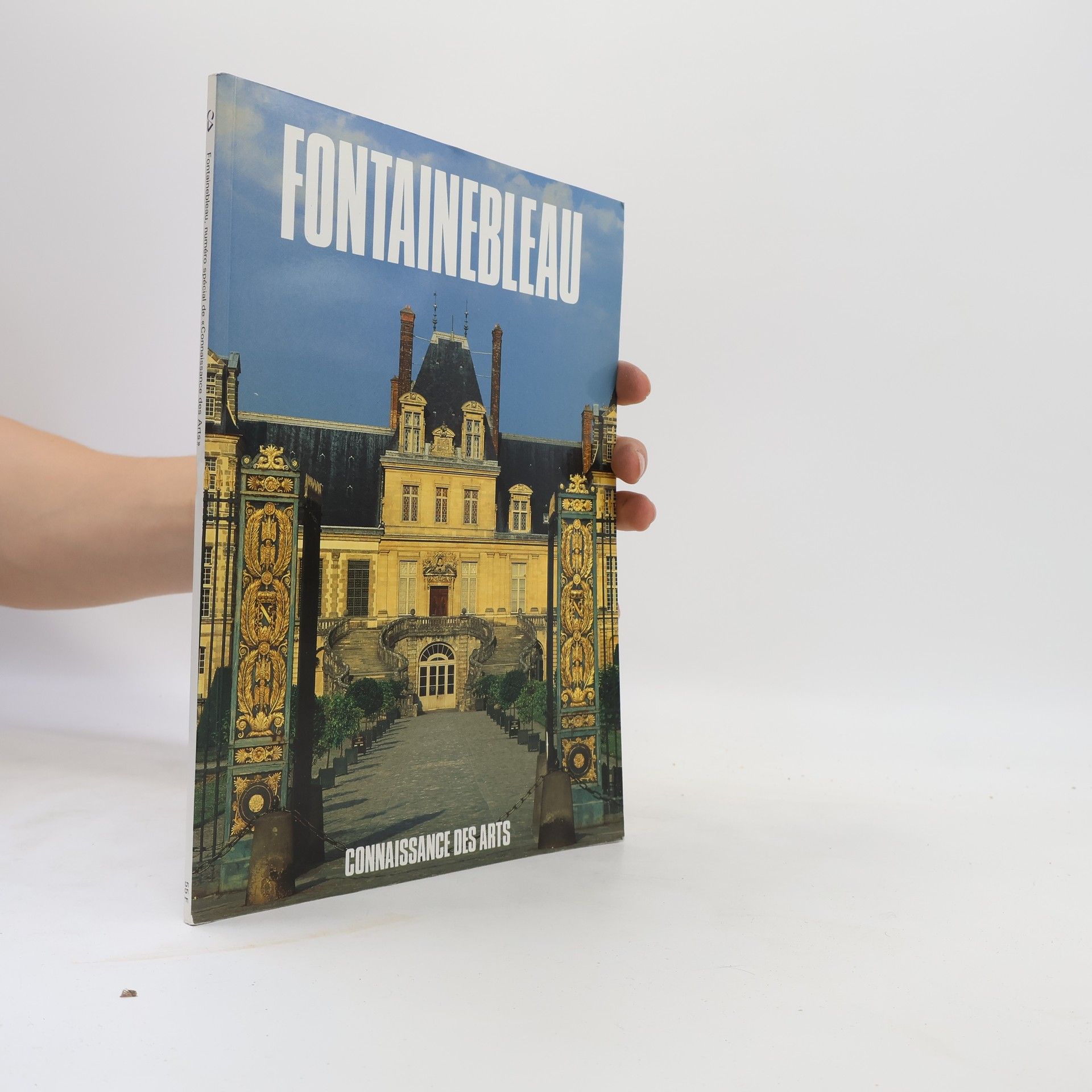 Kolektiv autorů Fontainebleau
