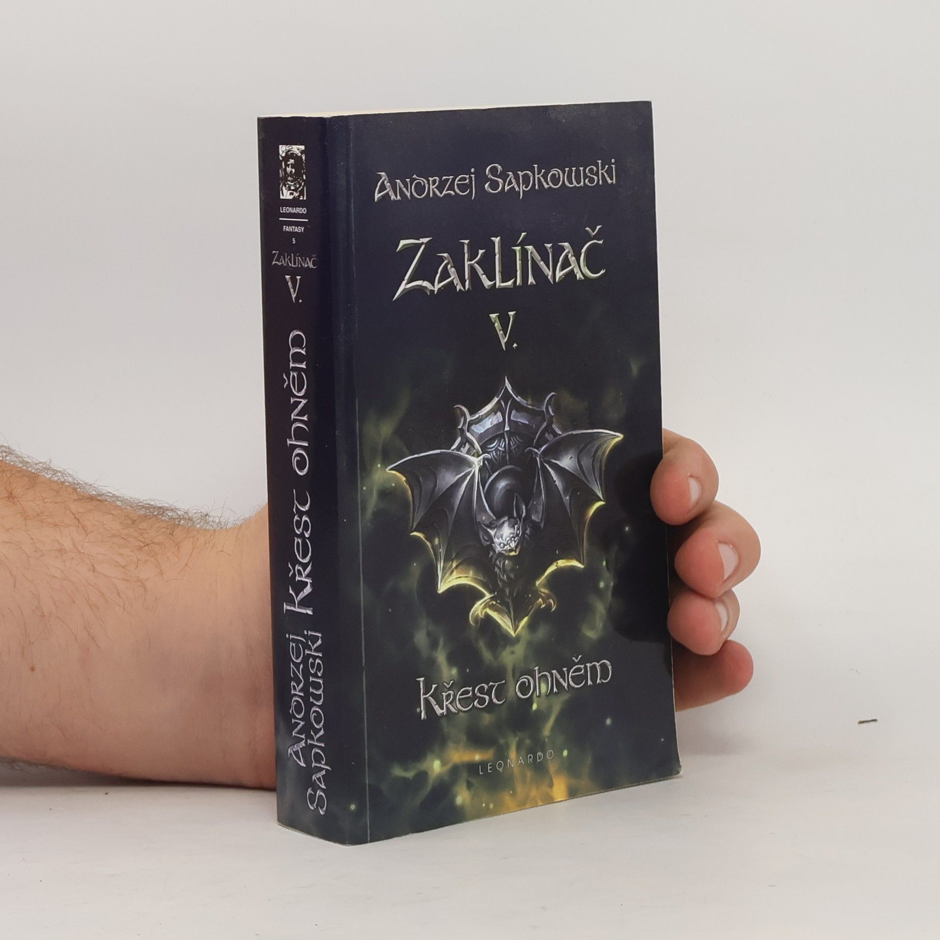 Zaklínač V.