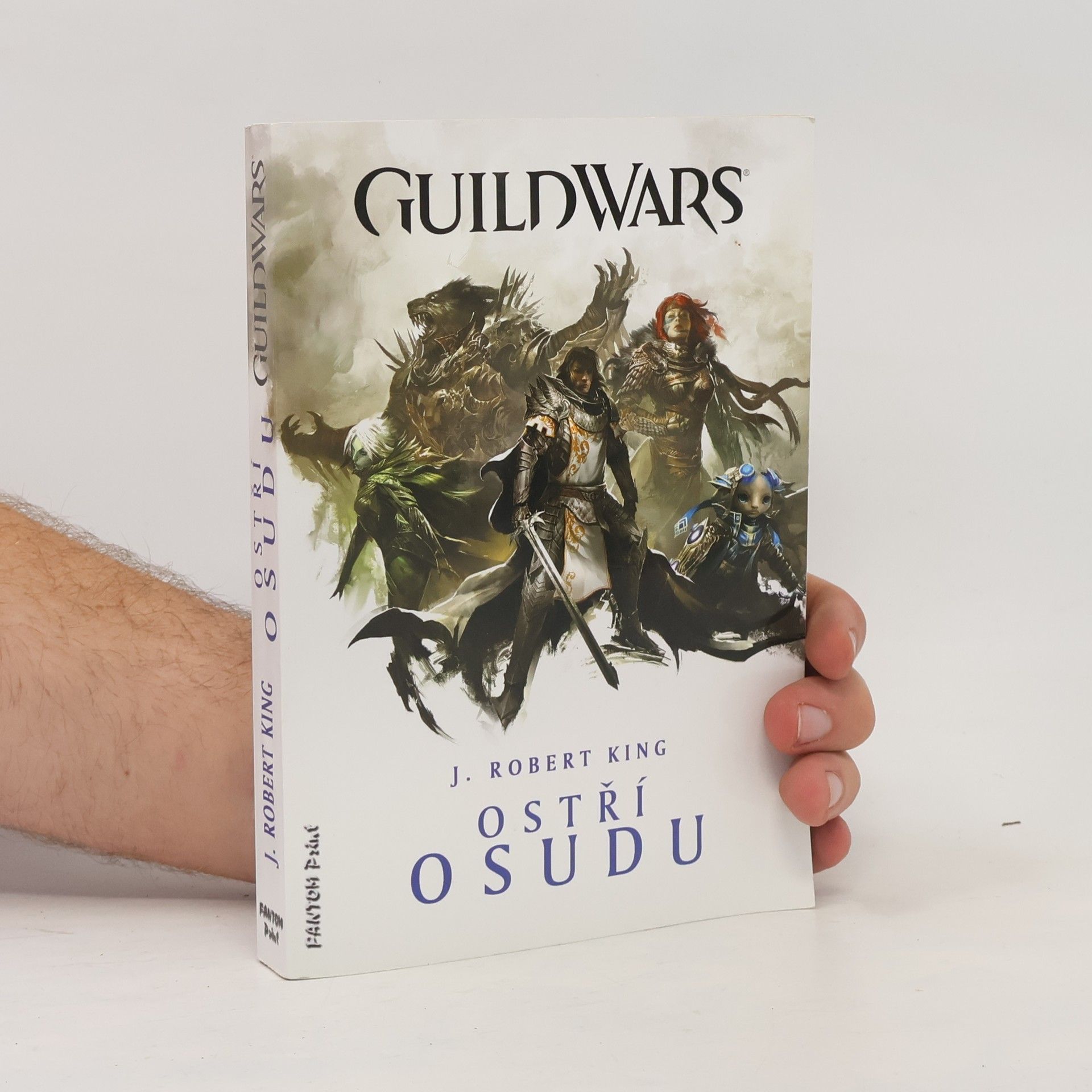 Robert J. King Guild Wars. Ostří osudu