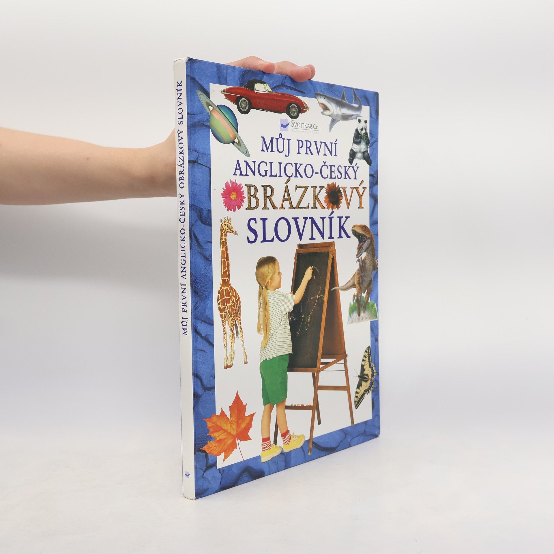 Auteurscollectief Můj první anglicko-český obrázkový slovník
