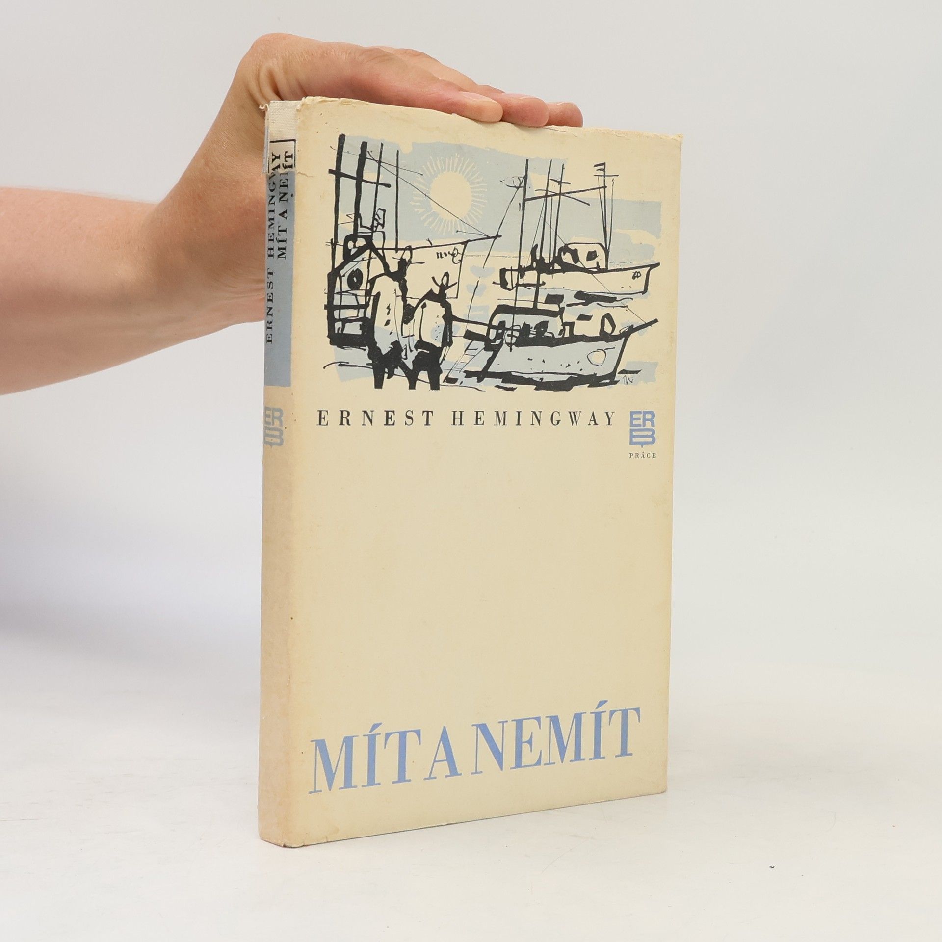 Ernest Hemingway Mít a nemít