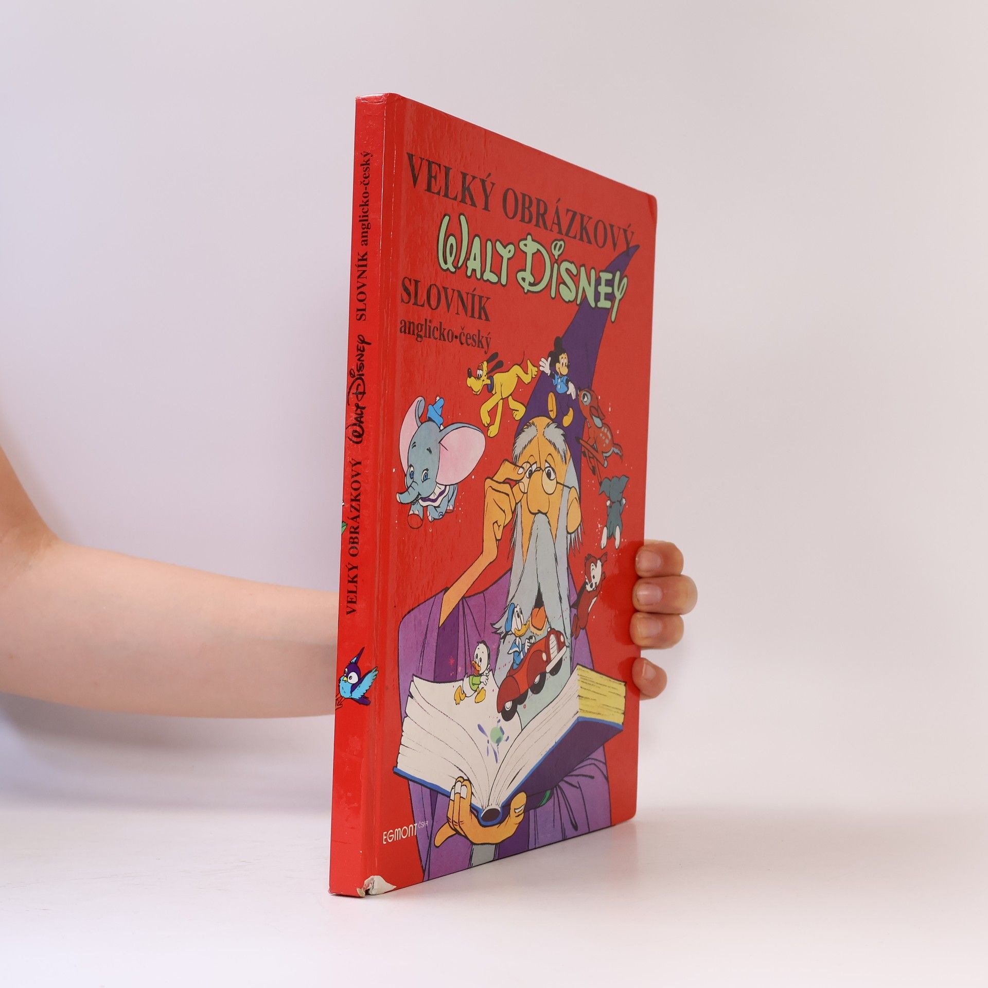 Walt Disney Velký obrázkový slovník anglicko-český