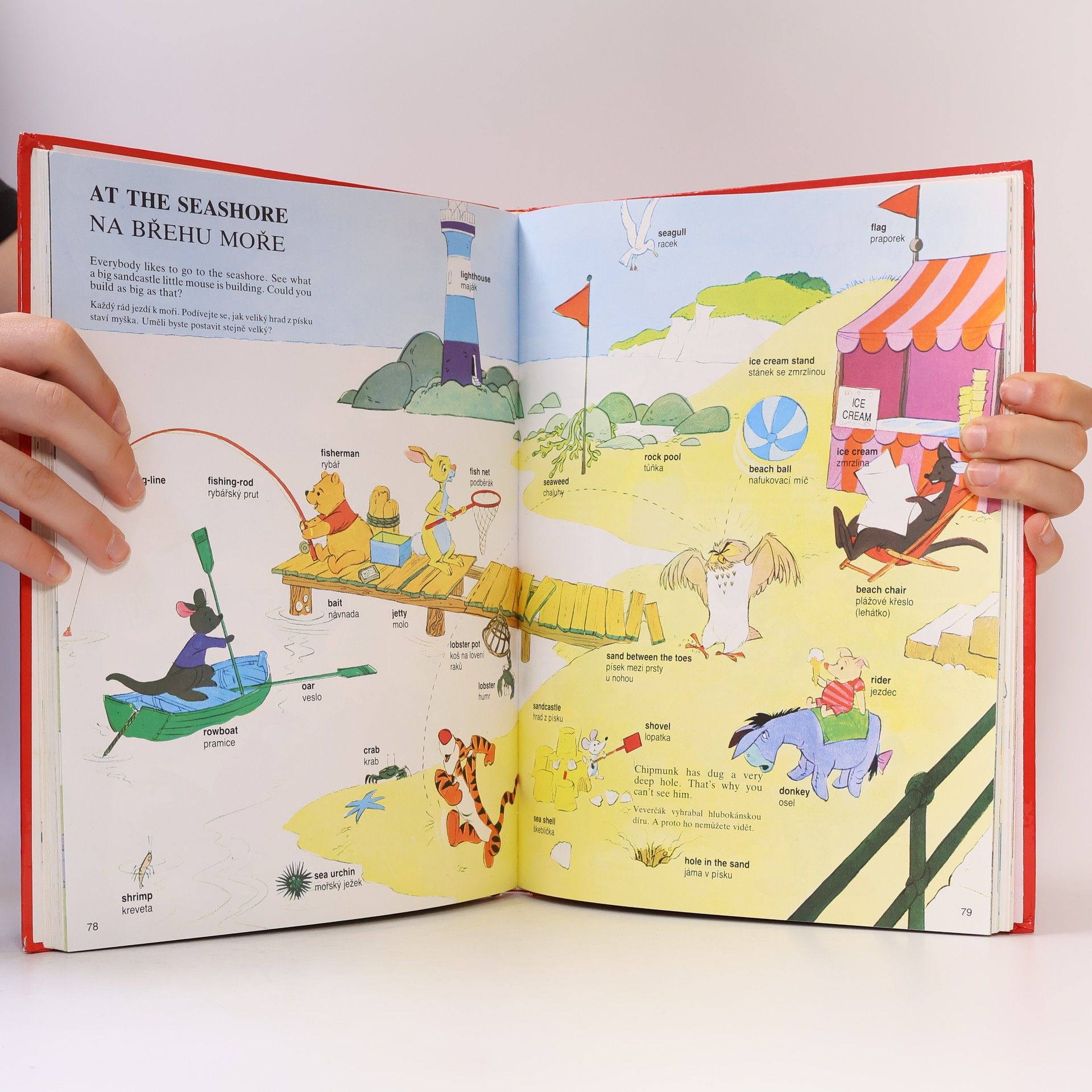 Walt Disney Velký obrázkový slovník anglicko-český