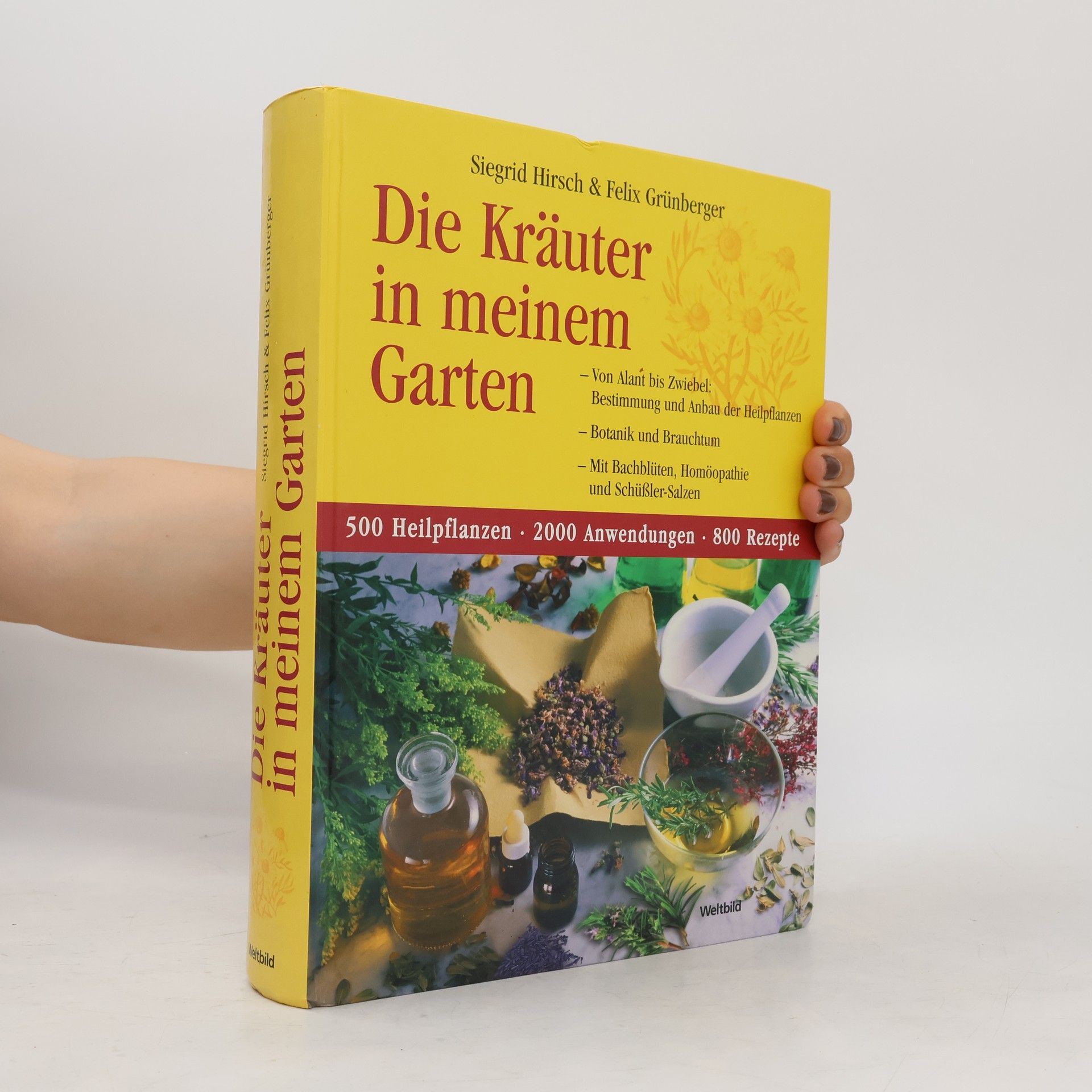 Siegrid Hirsch Die Kräuter in meinem Garten