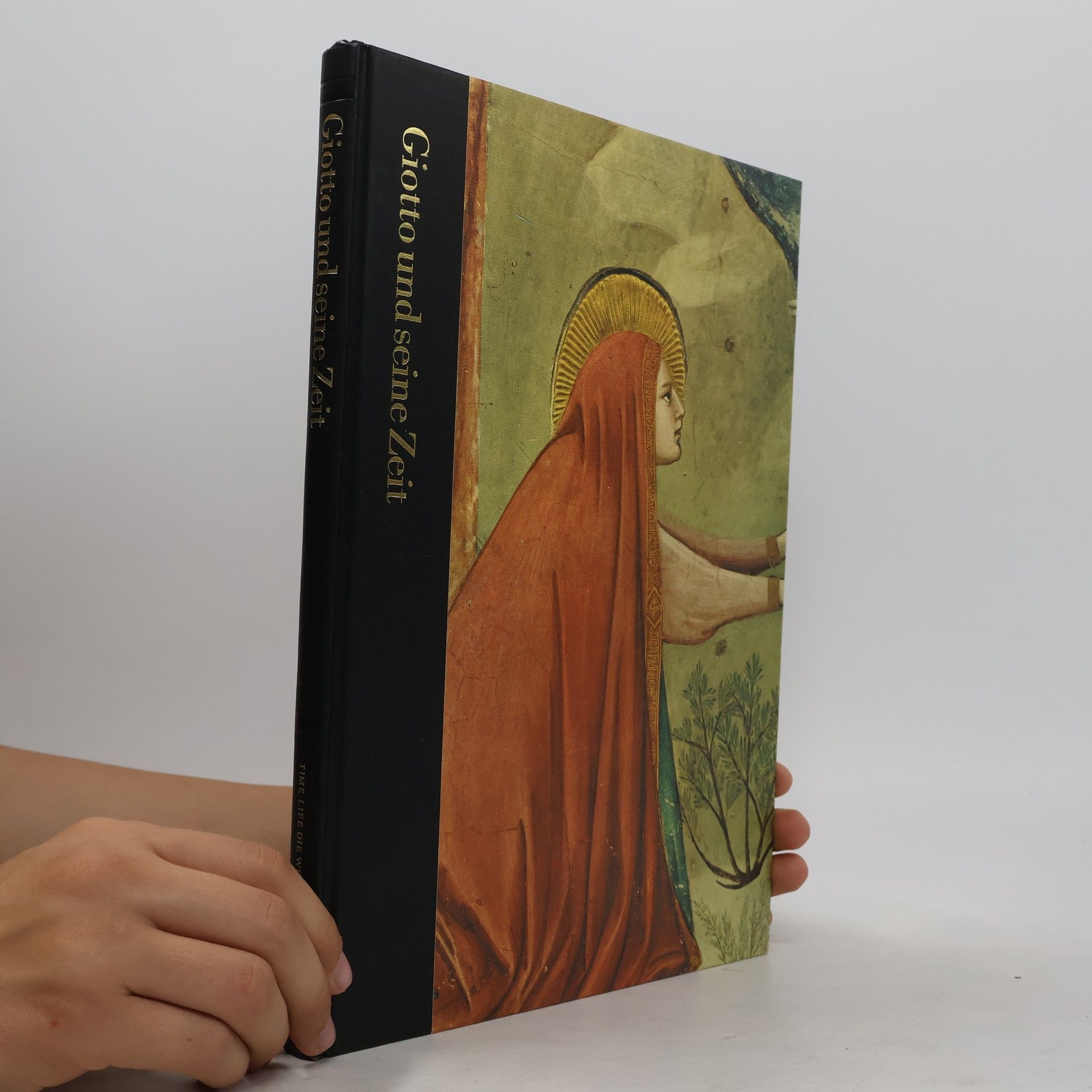 Sarel Eimerl Giotto und seine Zeit