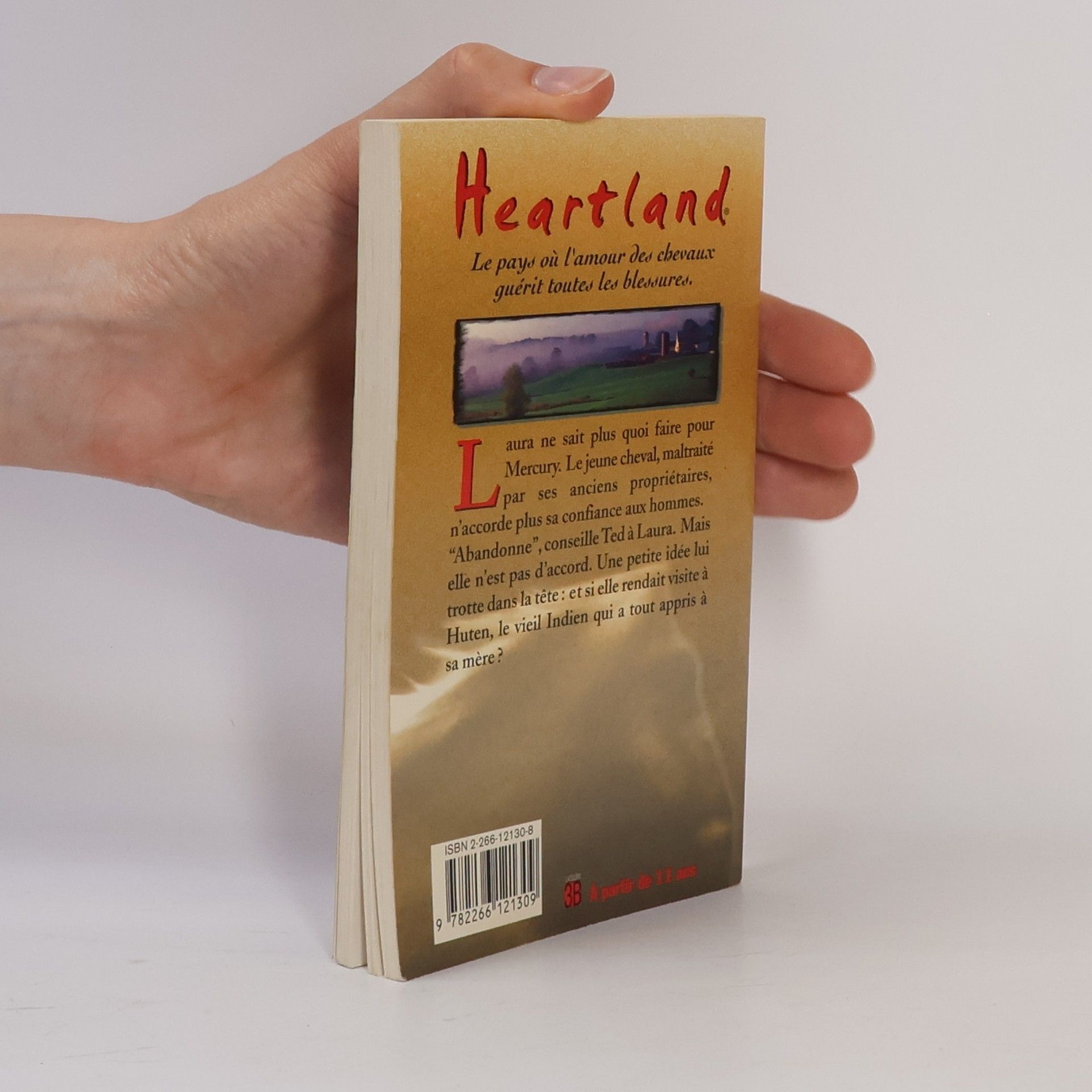 Lauren Brooke Heartland - 9: Le messager de l'espoir
