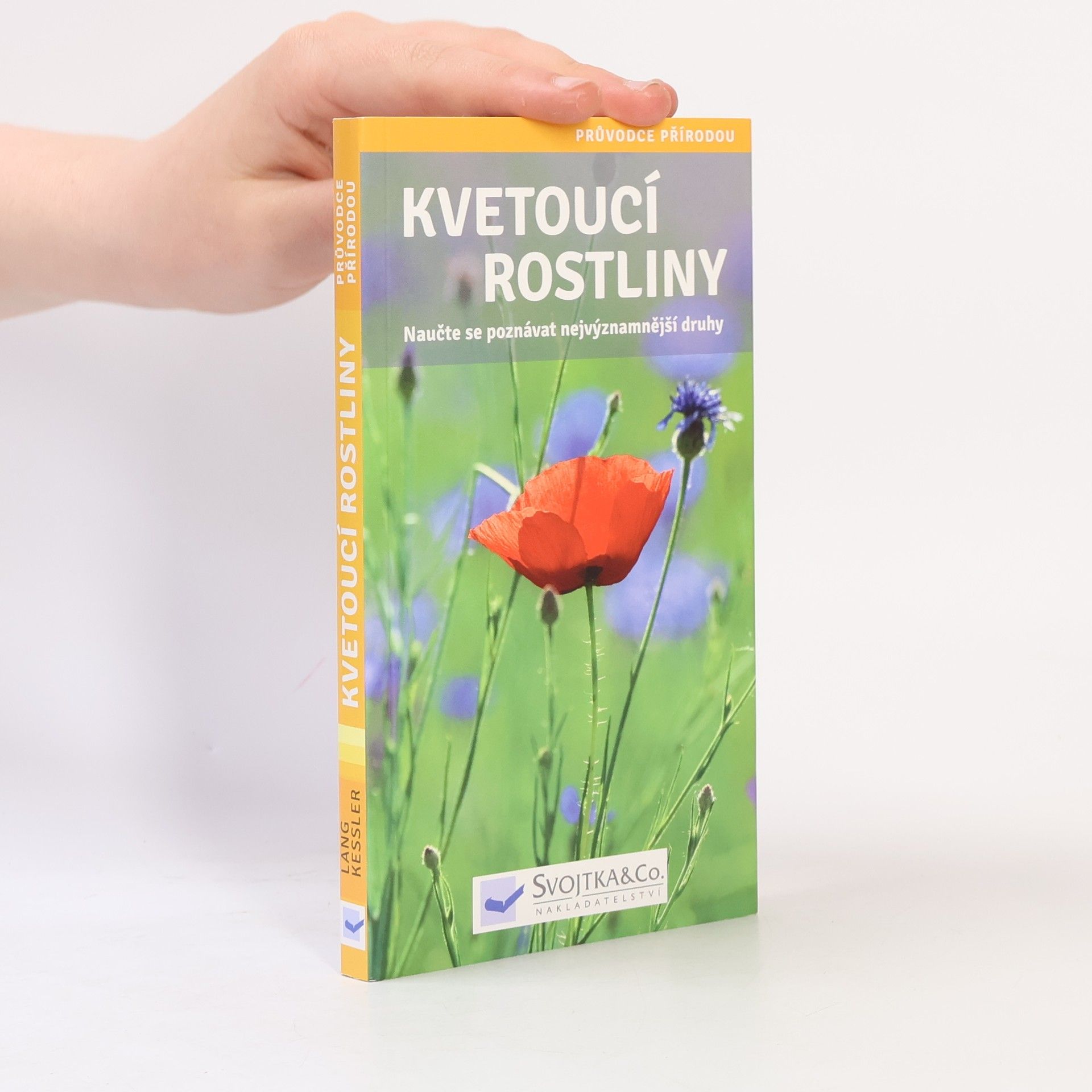 Angelika Lang Kvetoucí rostliny