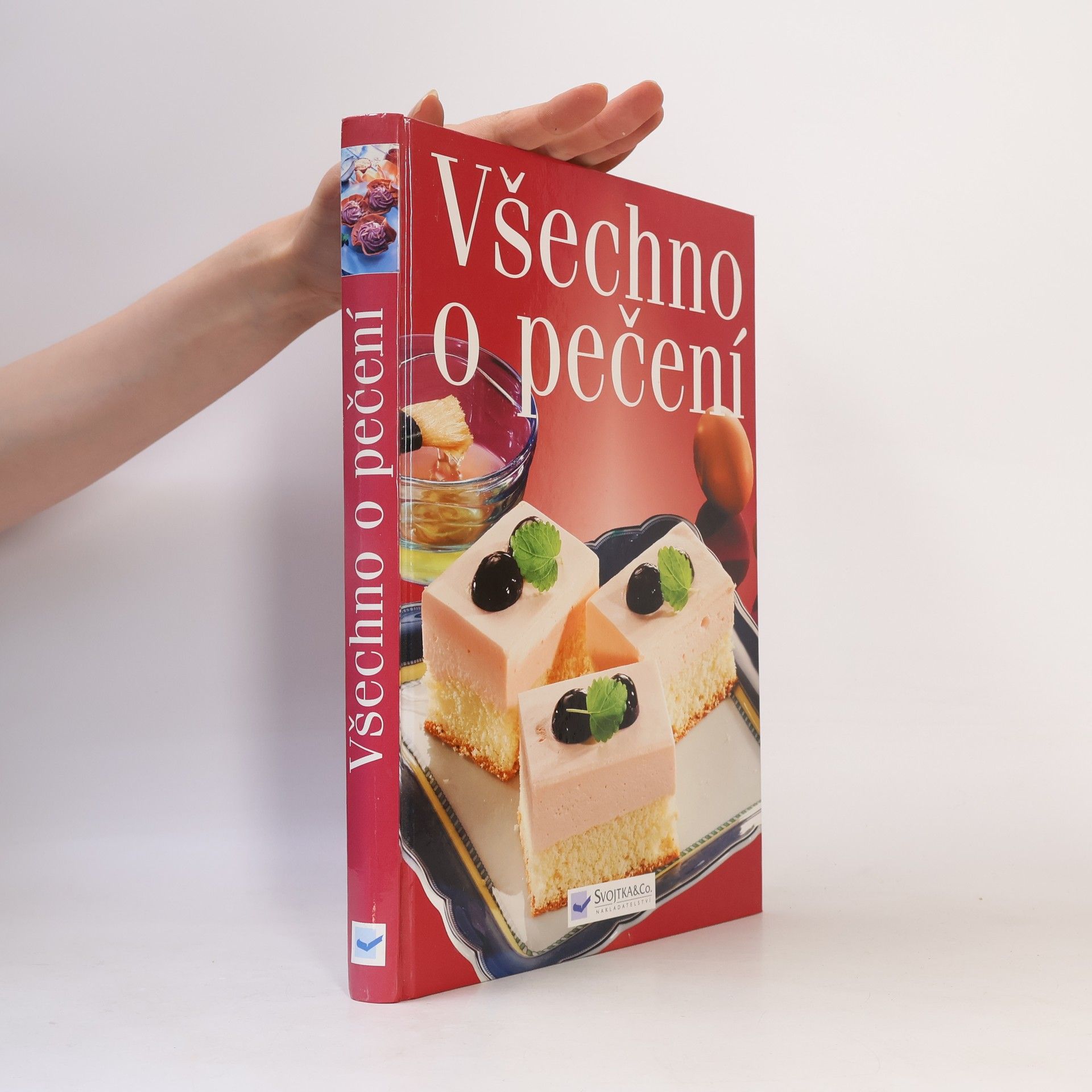 Autorenkollektiv Všechno o pečení