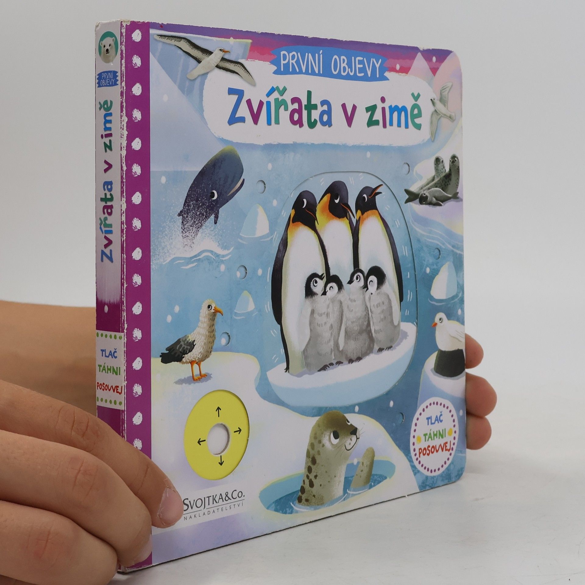 Jenny Wren První objevy: Zvířata v zimě