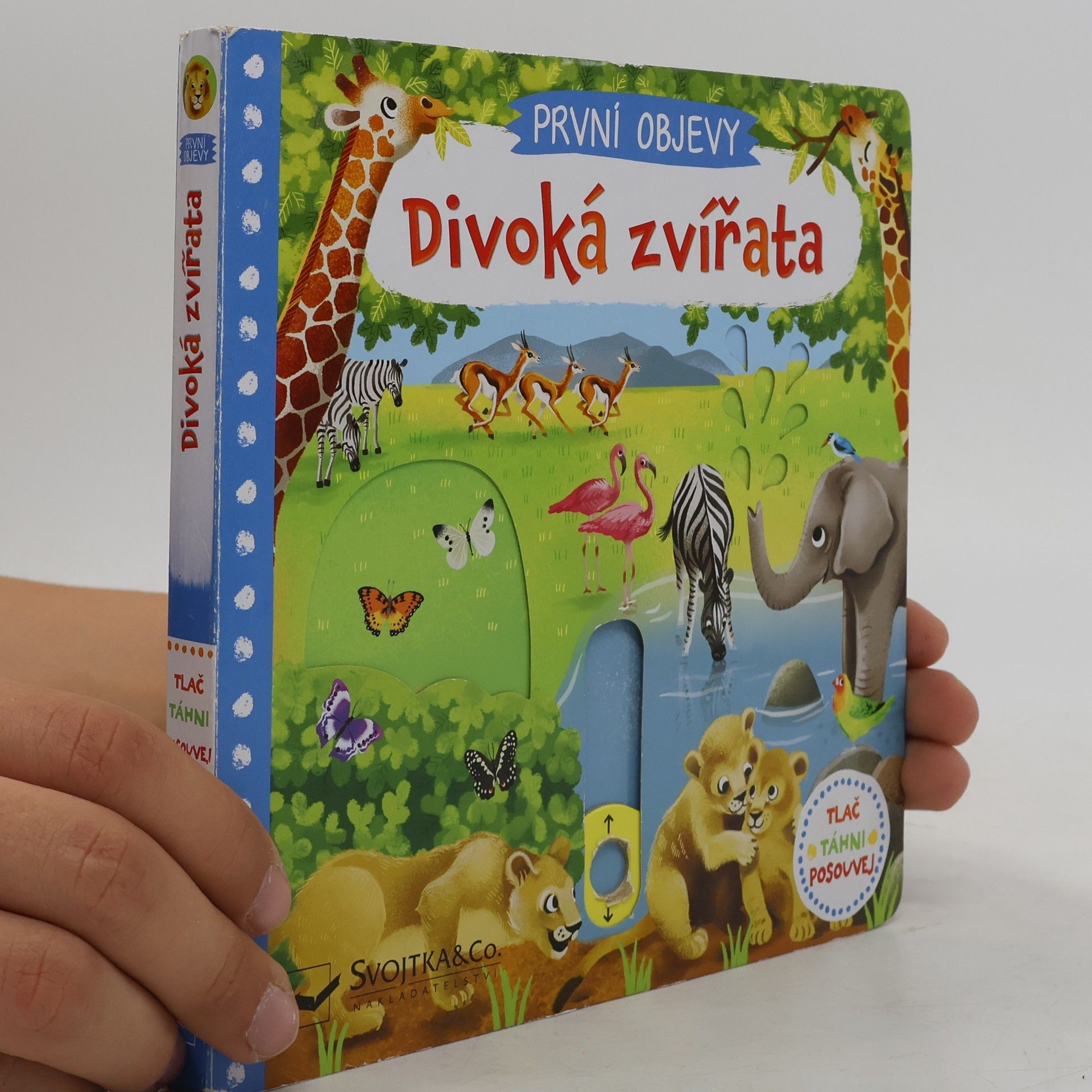 Divoká zvířata