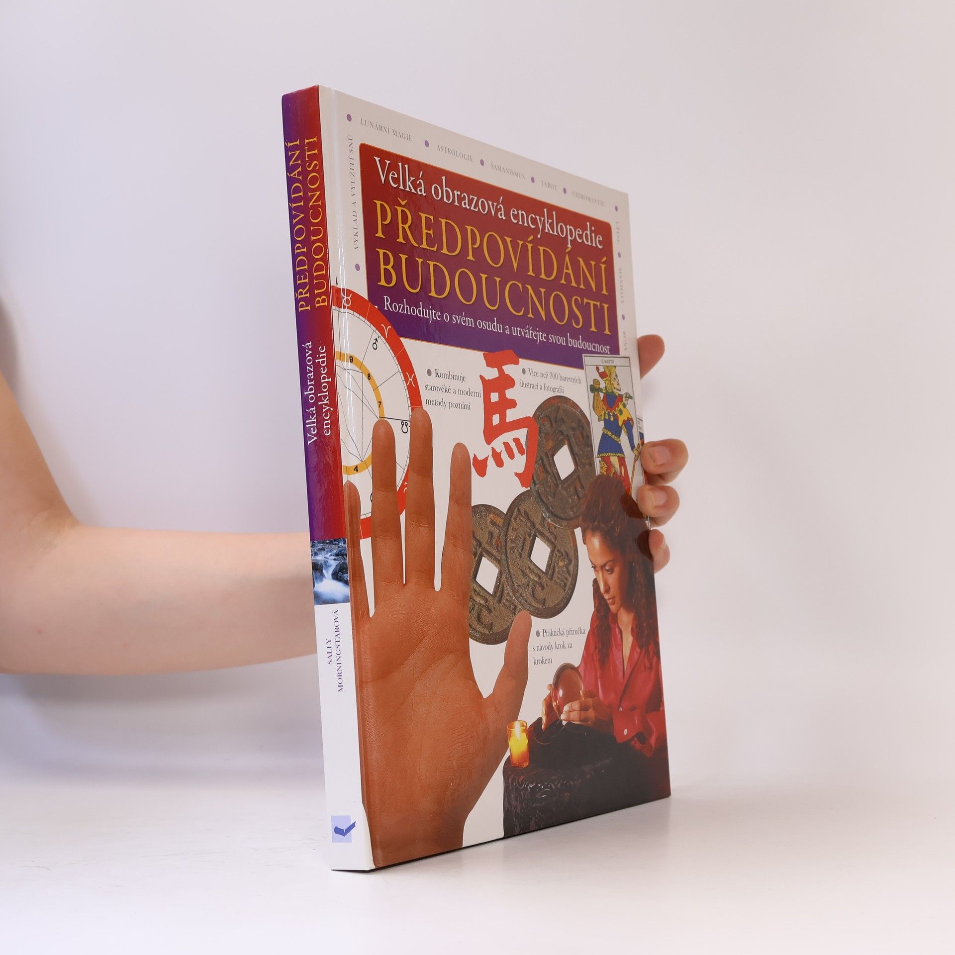 Sally Morningstar Velká obrazová encyklopedie. Předpovídání budoucnosti