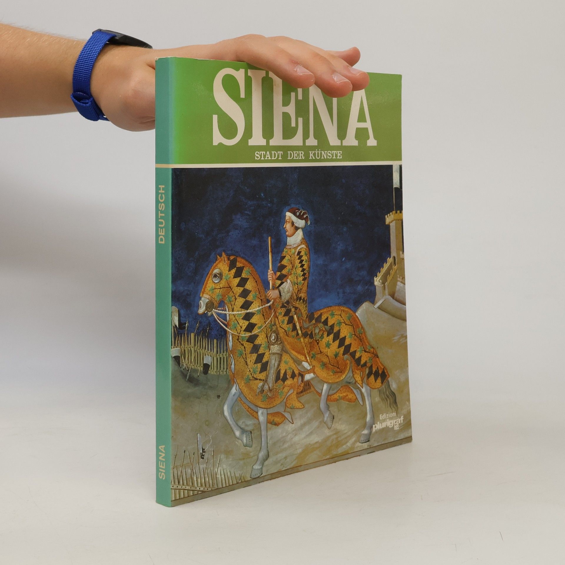 Autorenkollektiv Siena. Stadt der Künste