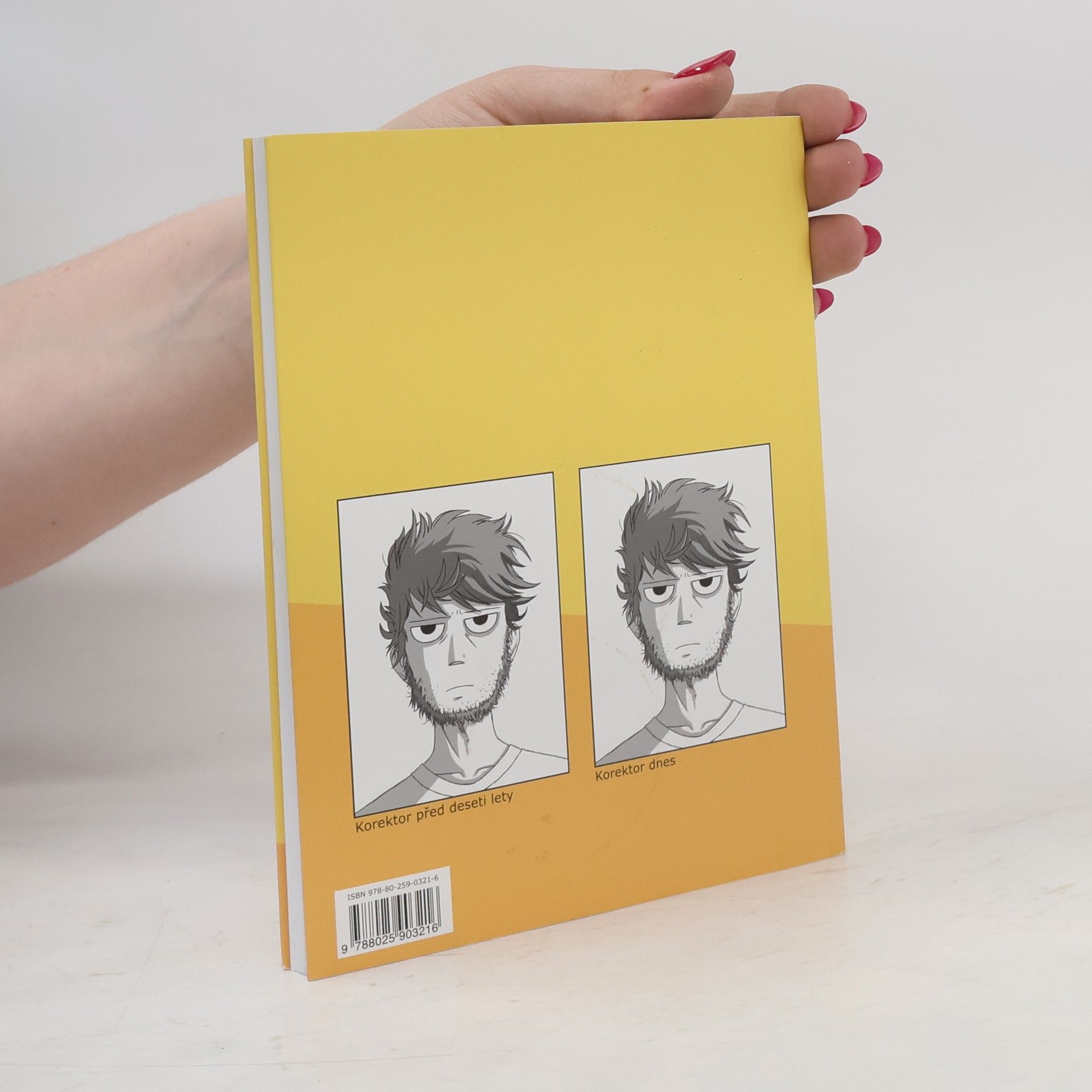 Vilém Koubek Korektor: Komiks o chybách a o životě
