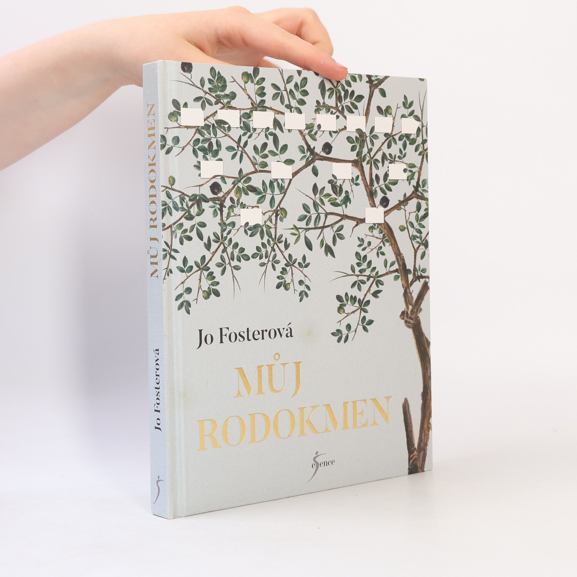Jo Foster Můj rodokmen
