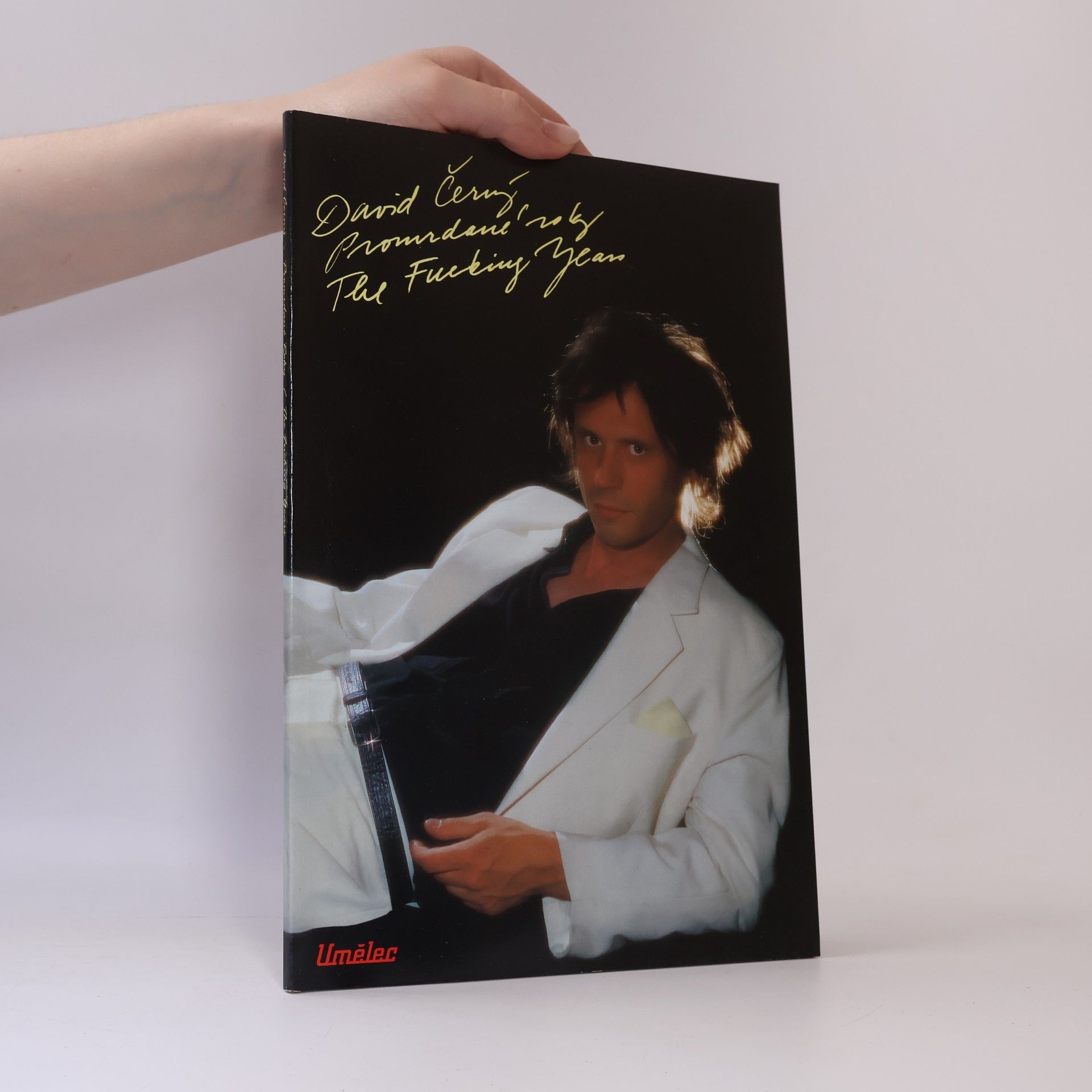 Vladan Šír David Černý: Promrdané roky. Pravdivý příběh (Život a dílo umělce) = The Fucking Years. A True Story (The Life and Work of an Artist)