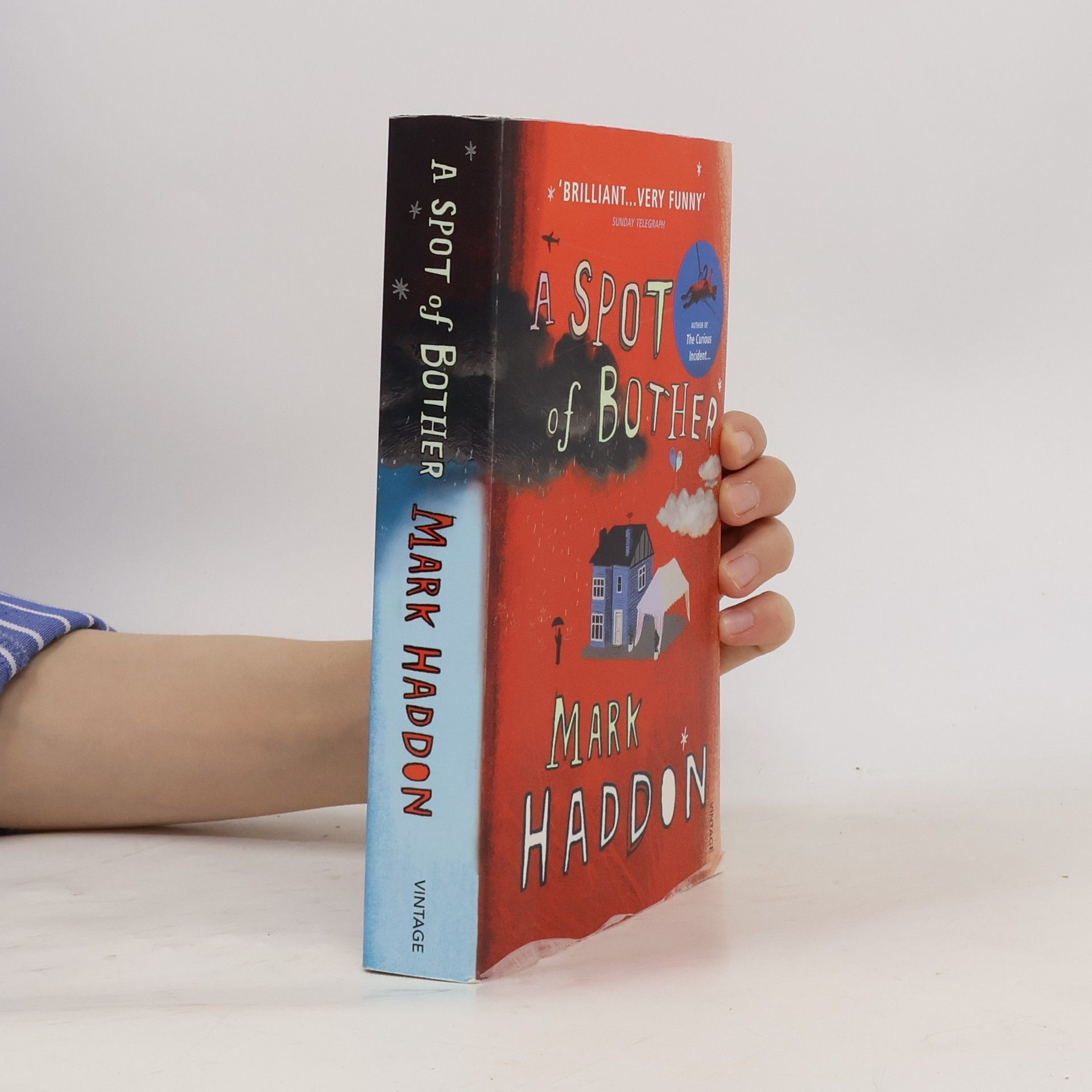 Mark Haddon A spot of bother