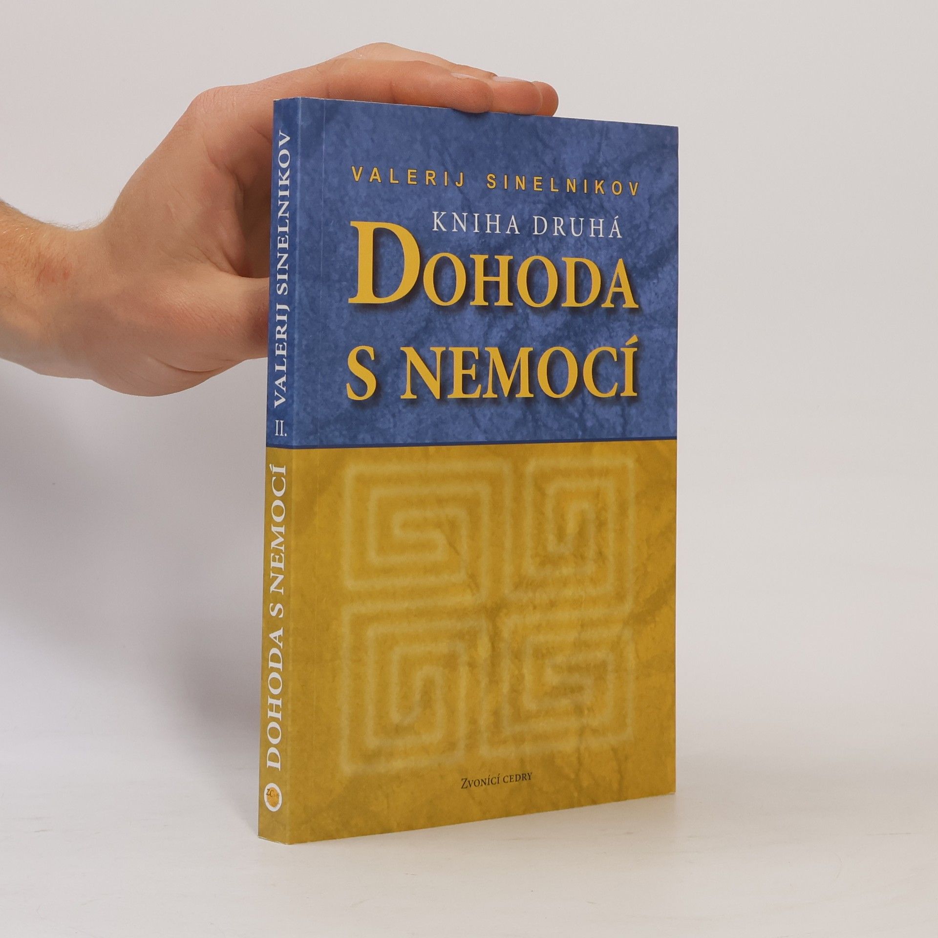Valerij Vladimirovič Sinel‘nikov Dohoda s nemocí. Kniha druhá