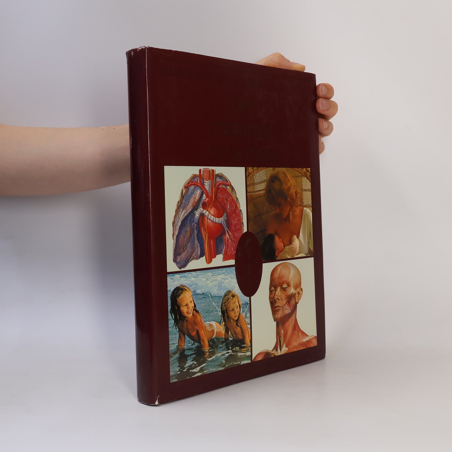 Collectif d'auteurs Les Maladies infantiles