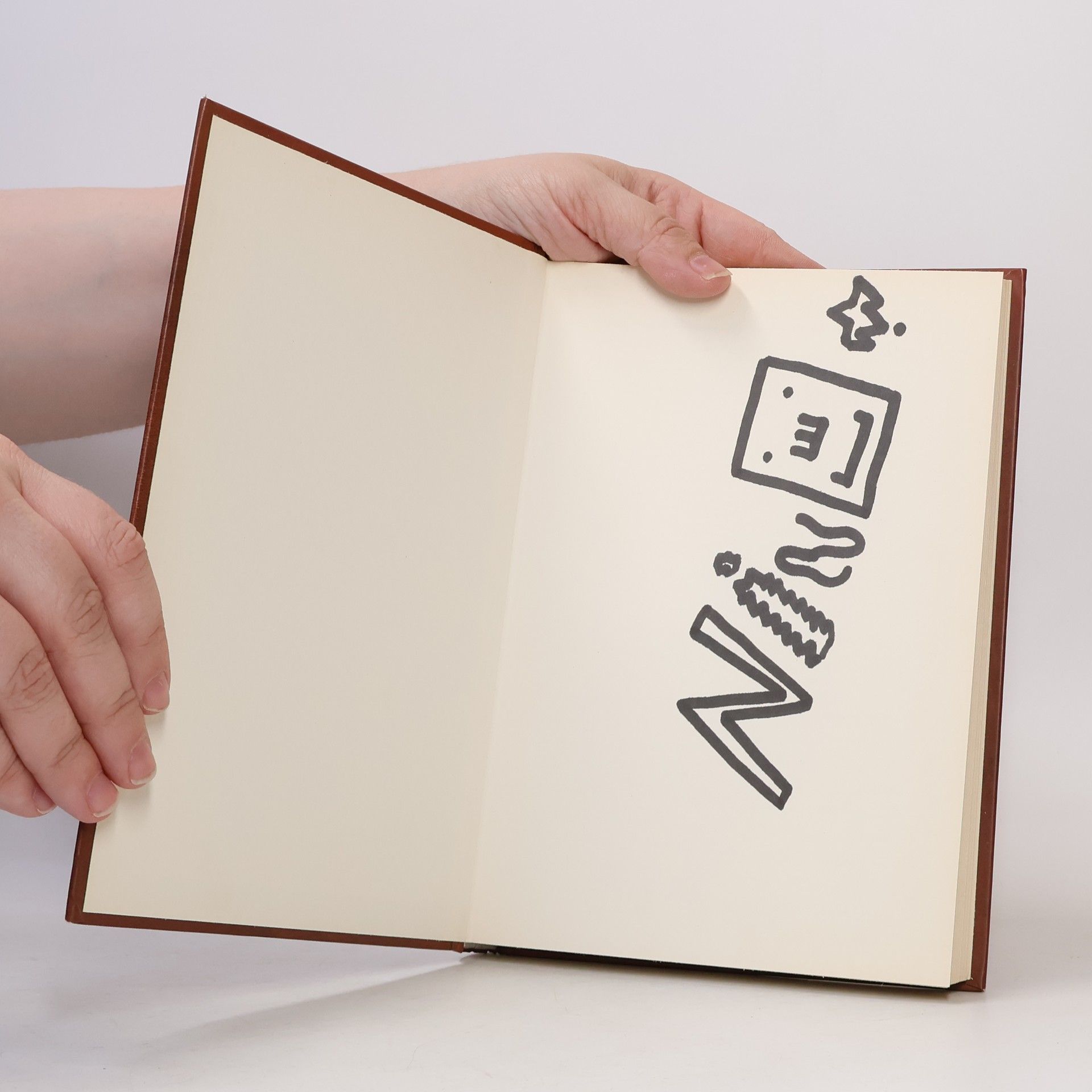 Jeff Kinney Denník odvážneho bojka 7. Piate koleso na voze