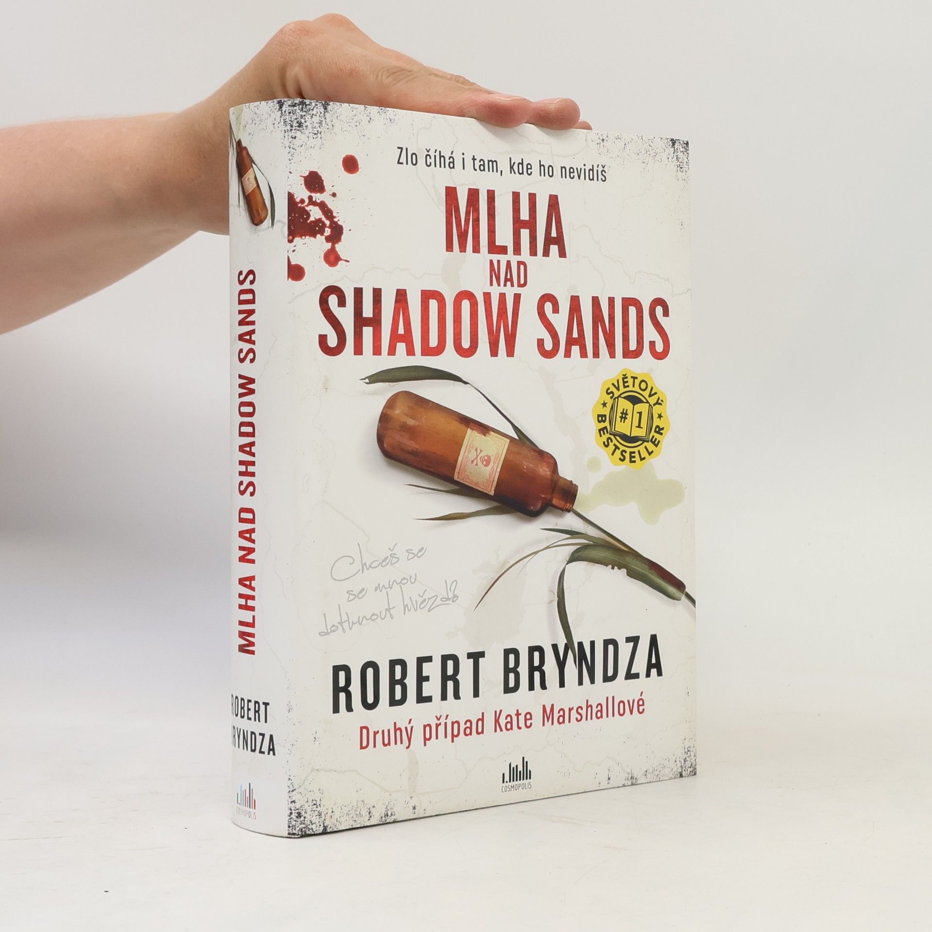 Robert Bryndza Mlha nad Shadow Sands