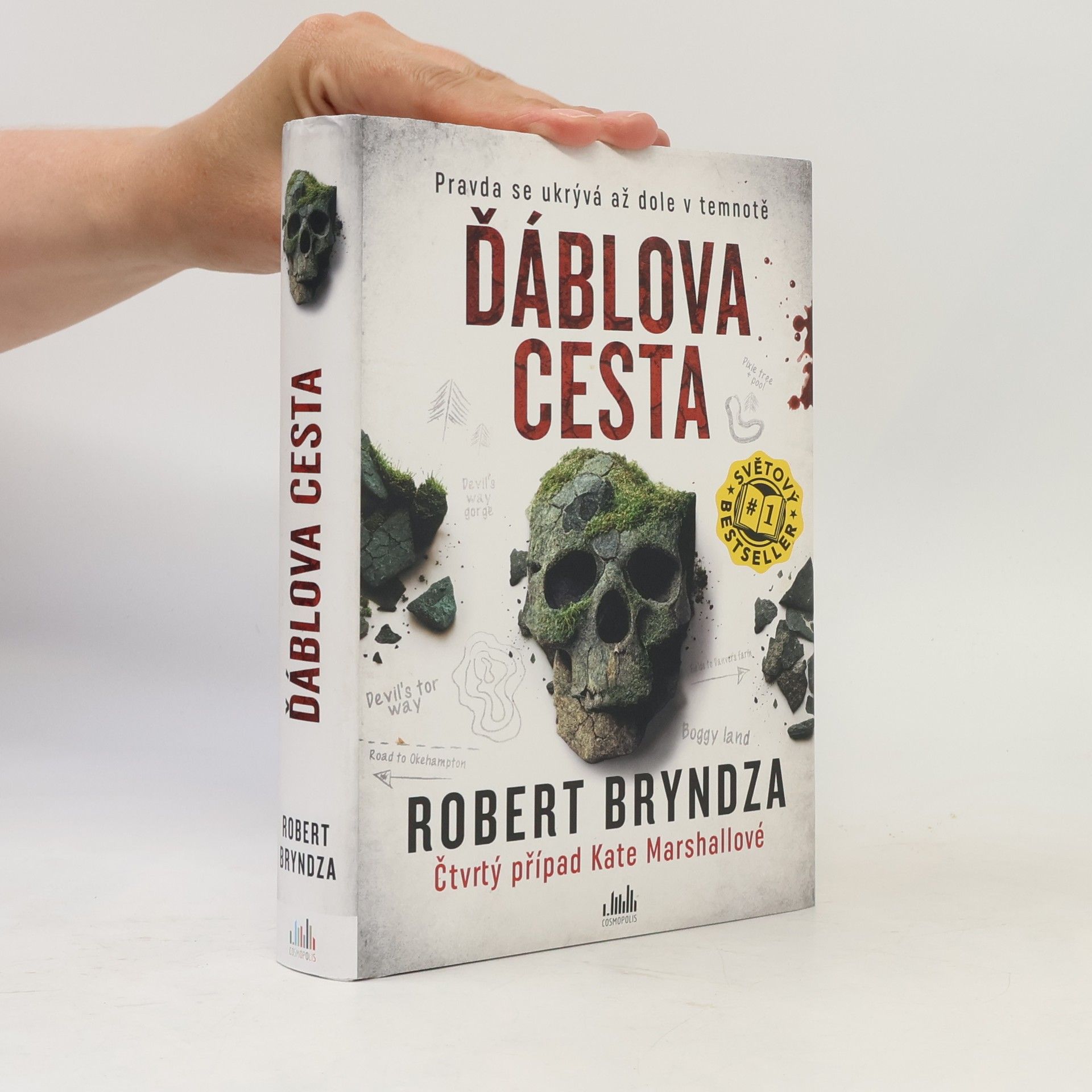 Robert Bryndza Ďáblova cesta