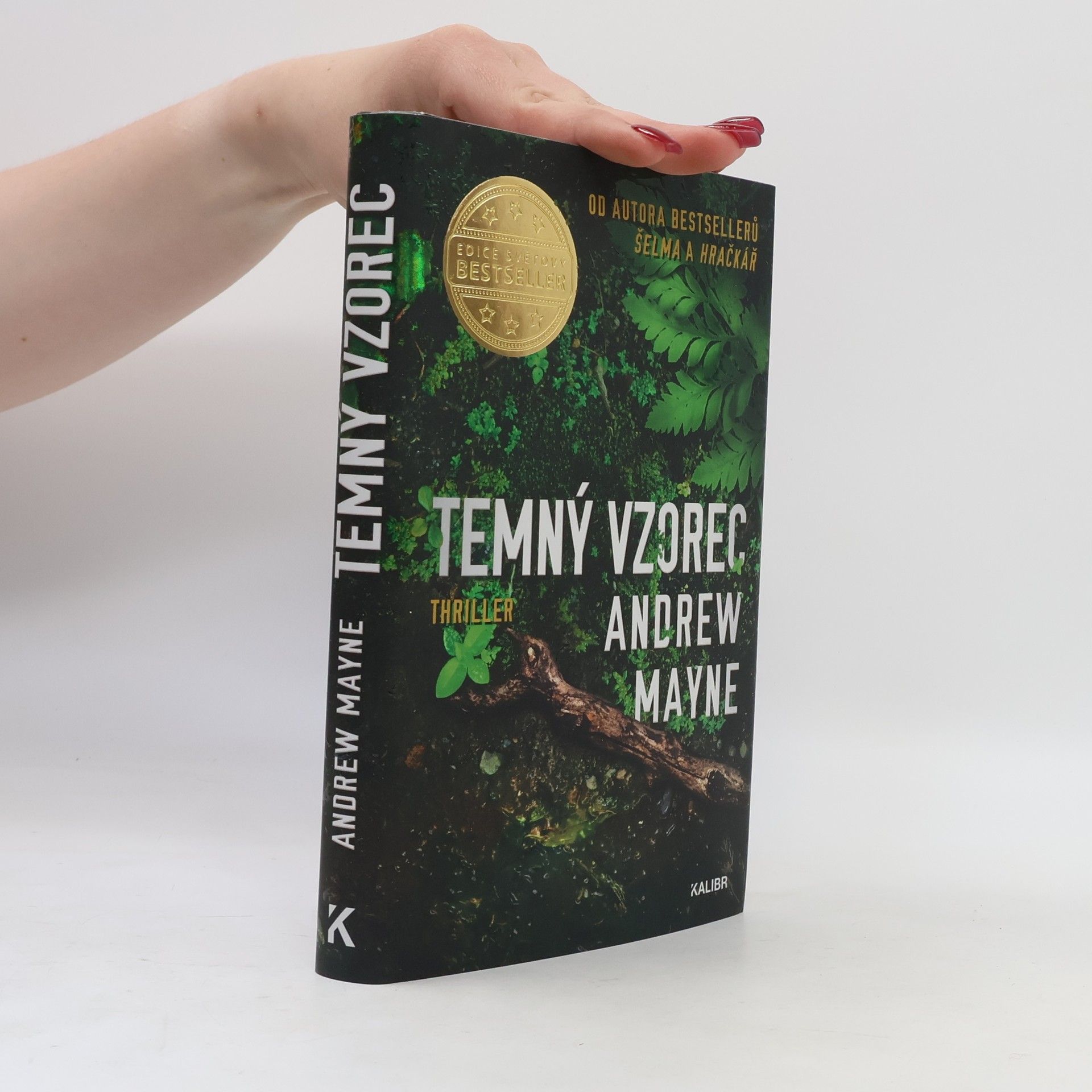 Andrew Mayne Temný vzorec