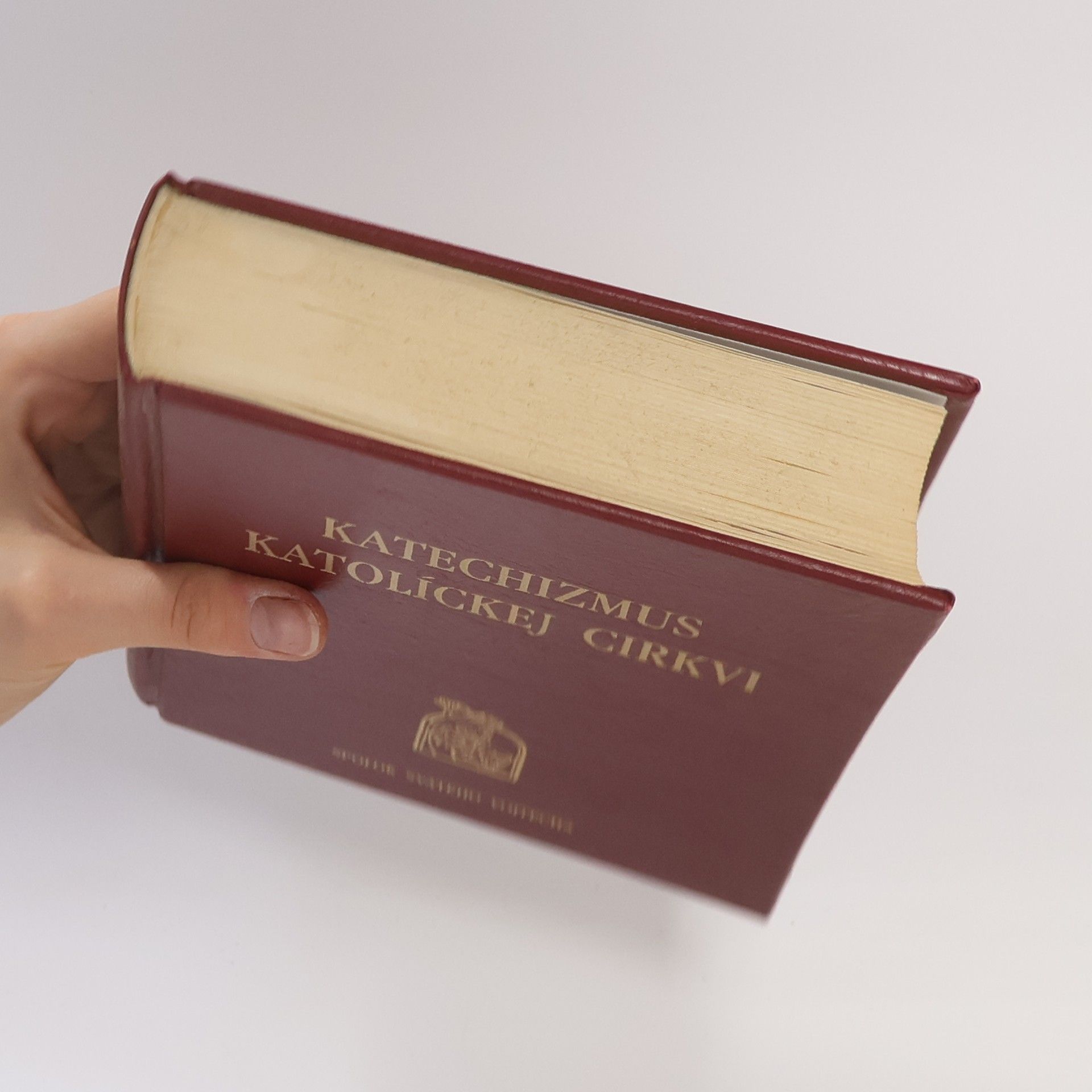 Various authors Katechizmus Katolíckej cirkvi