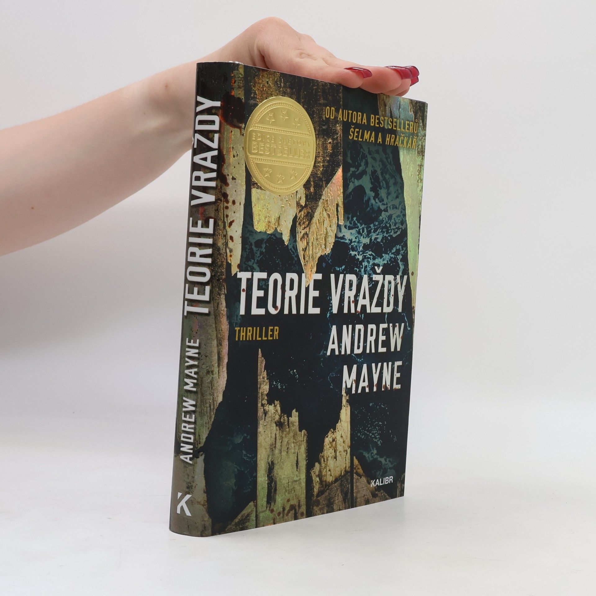 Andrew Mayne Teorie vraždy