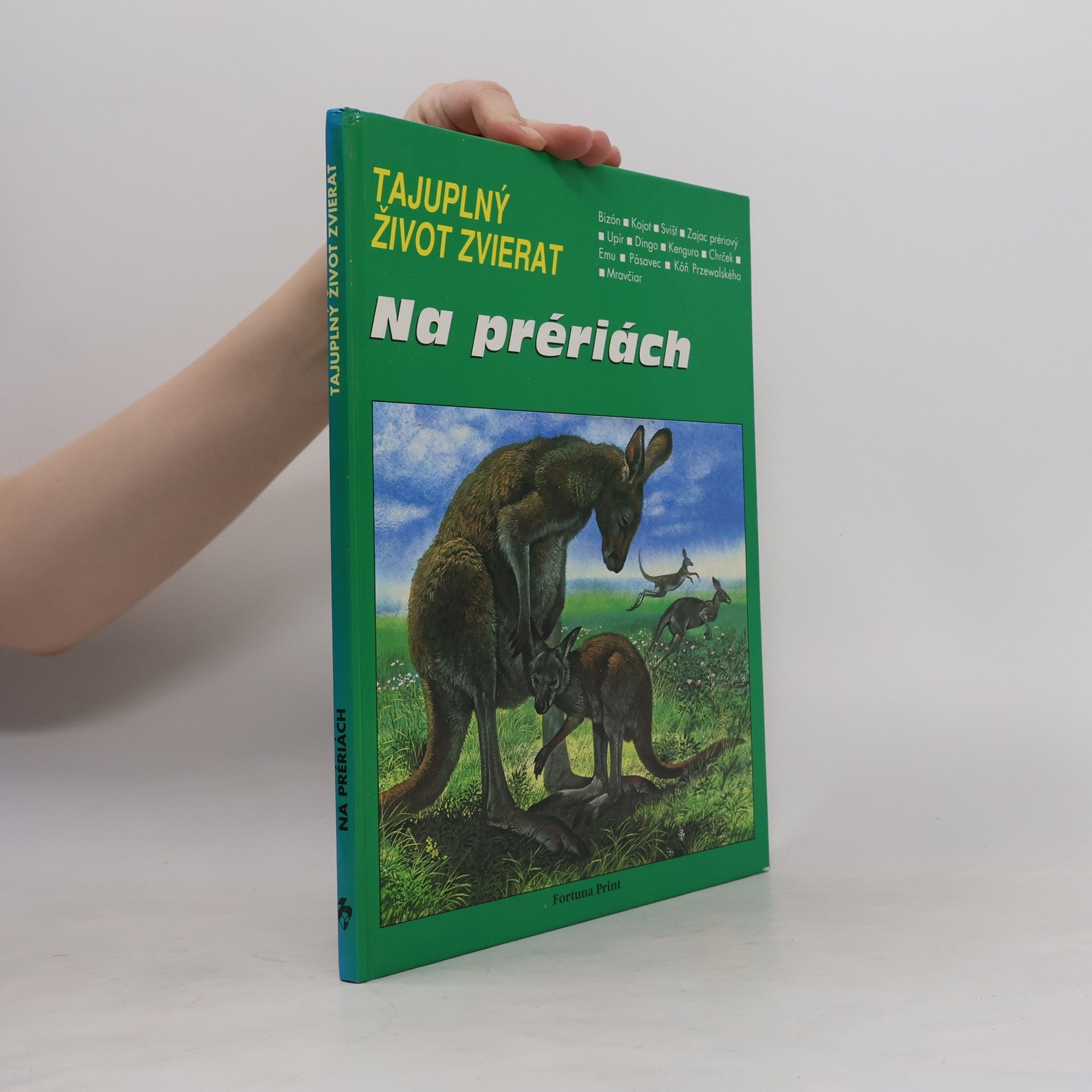 Ĺubica Krištofová Na prériách