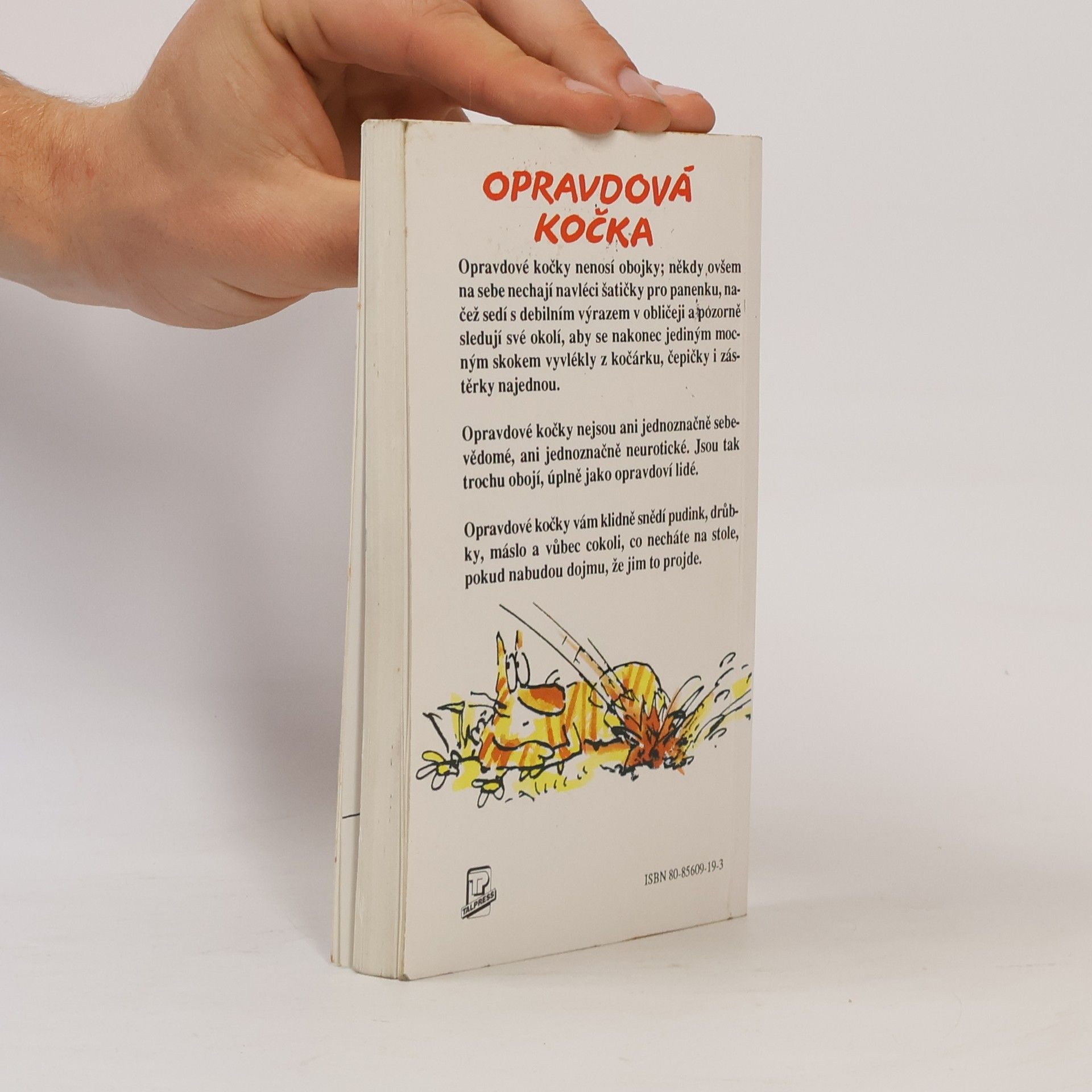 Terry Pratchett Nefalšovaná kočka