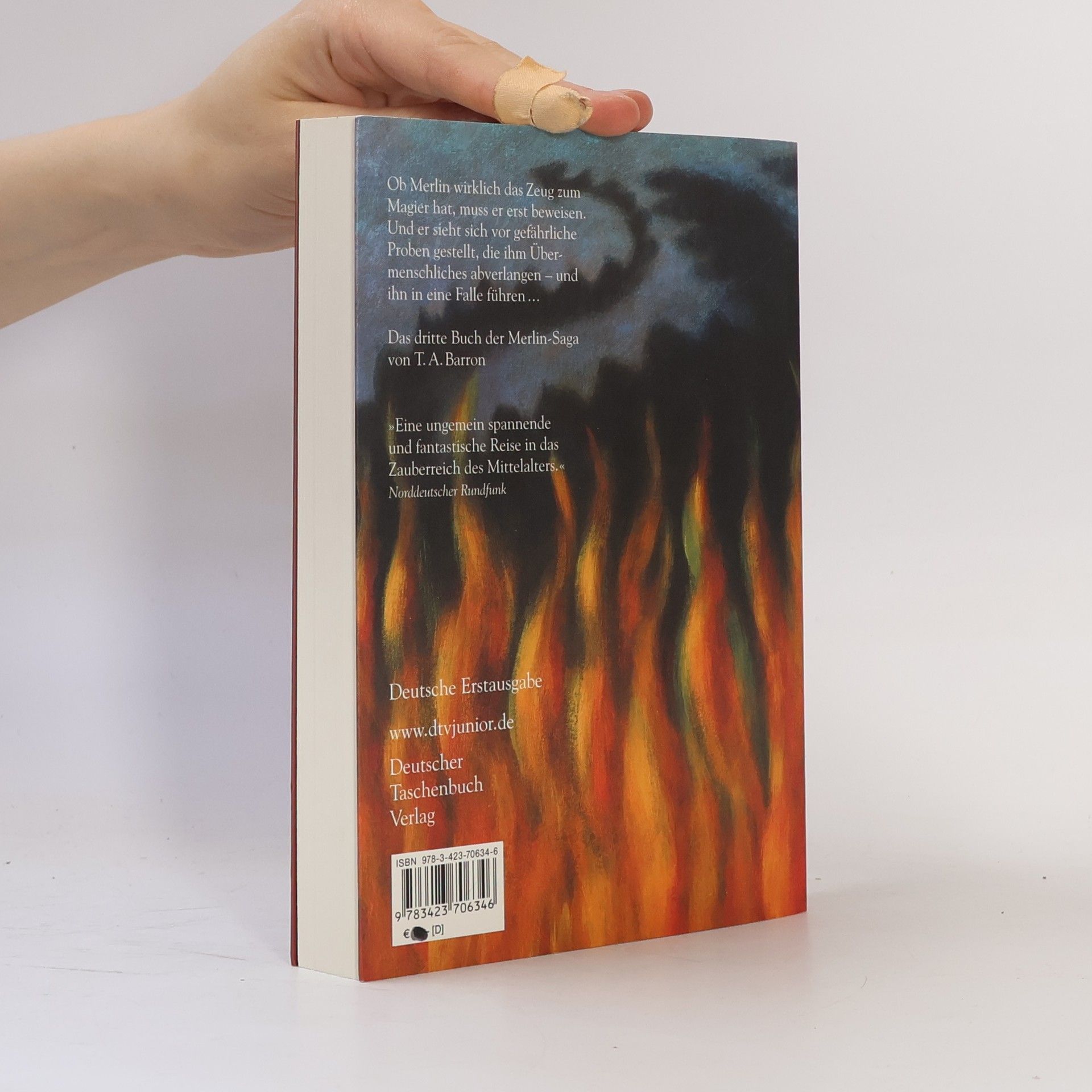 Thomas A. Barron Merlin und die Feuerproben