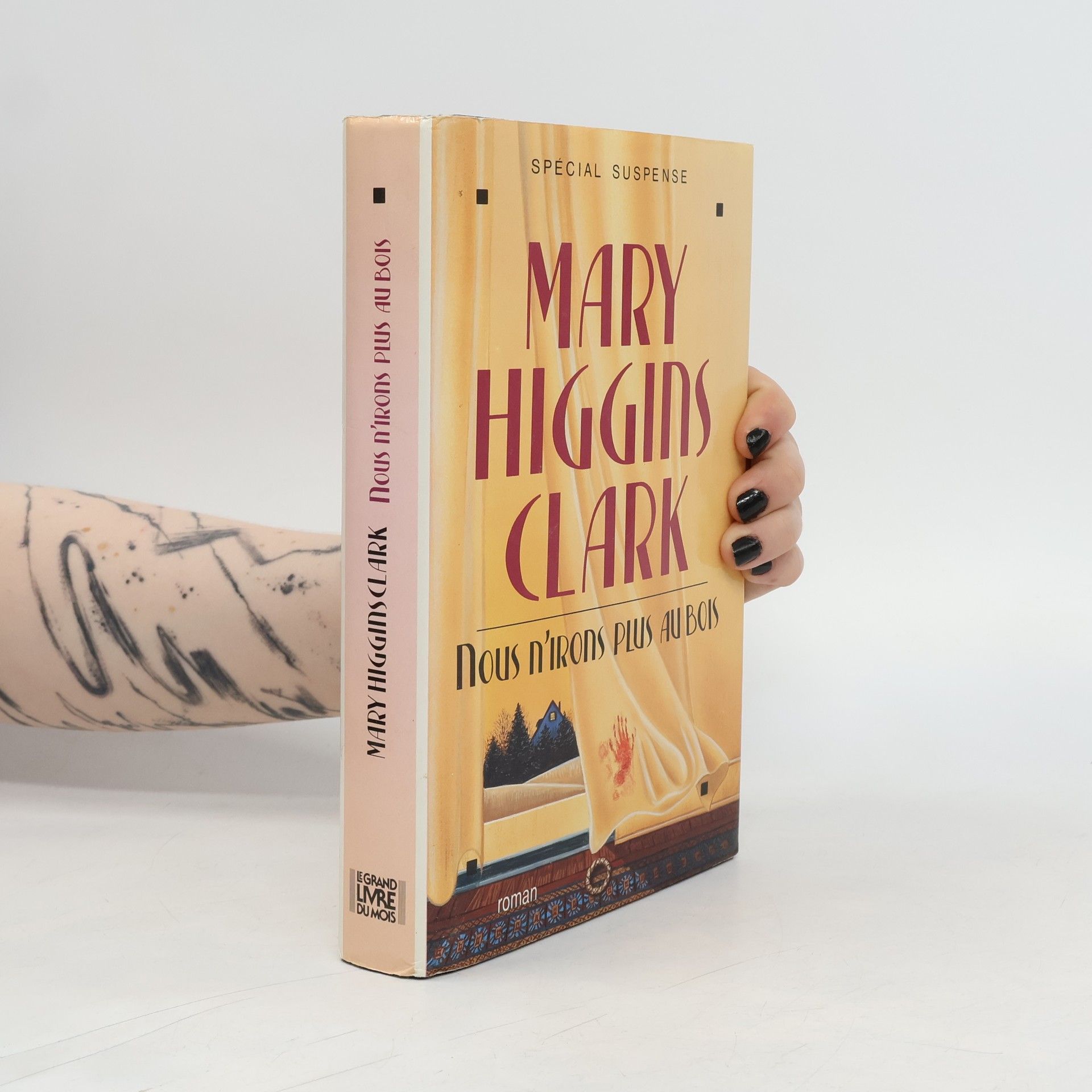 Mary Higginsová Clarková Nous n'irons plus au bois